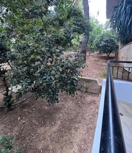 353810622_900x675.JPG