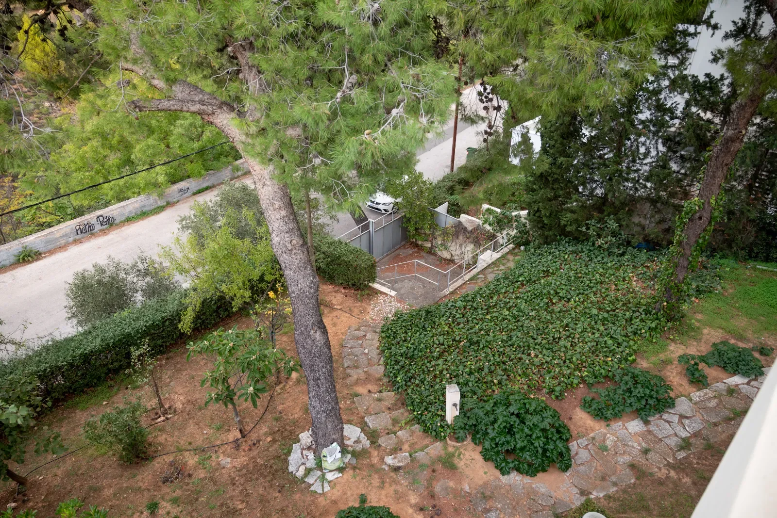 366396427_1600x1200.webp