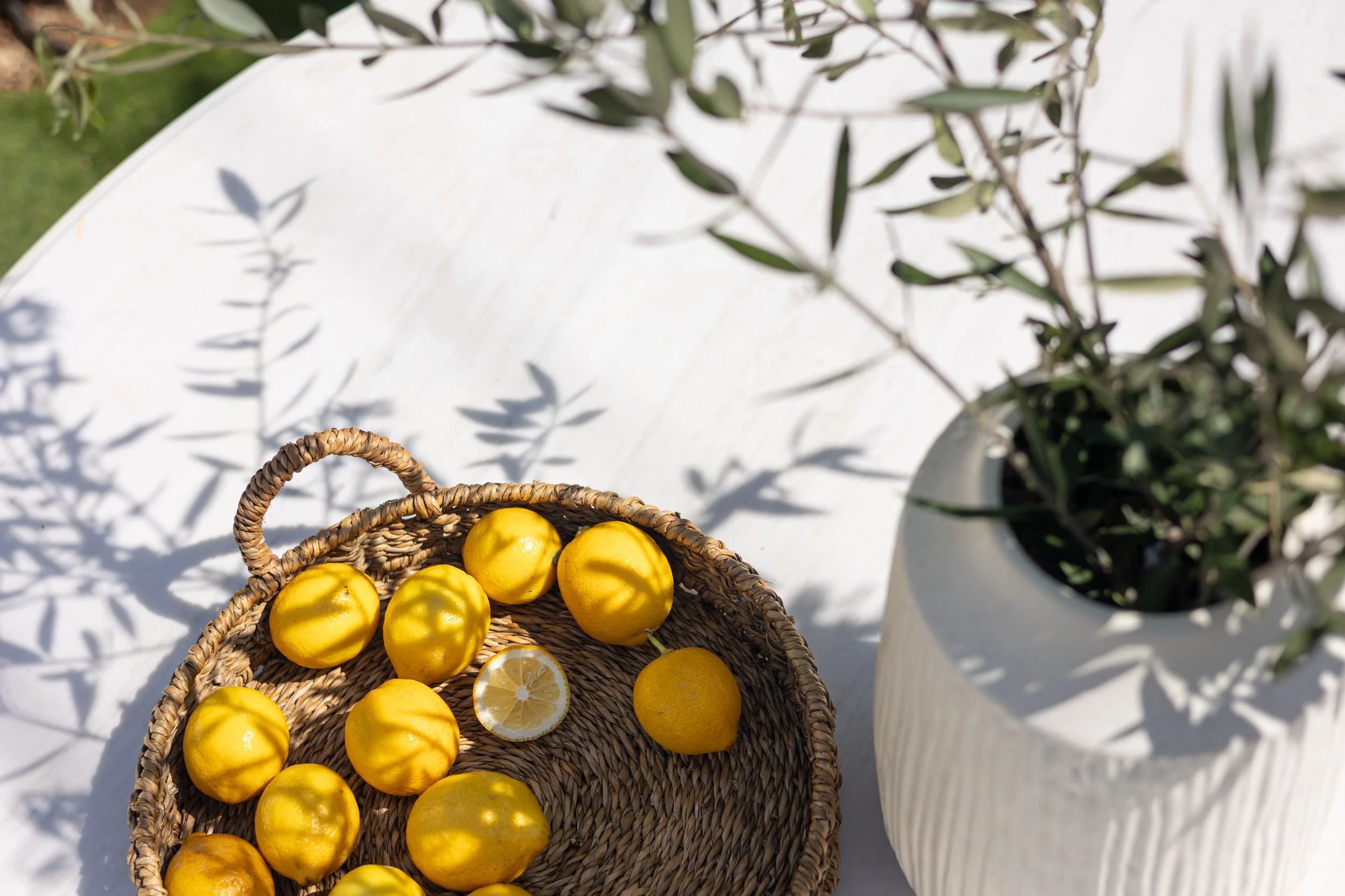 1Villa Stefani 2026 -051.jpg