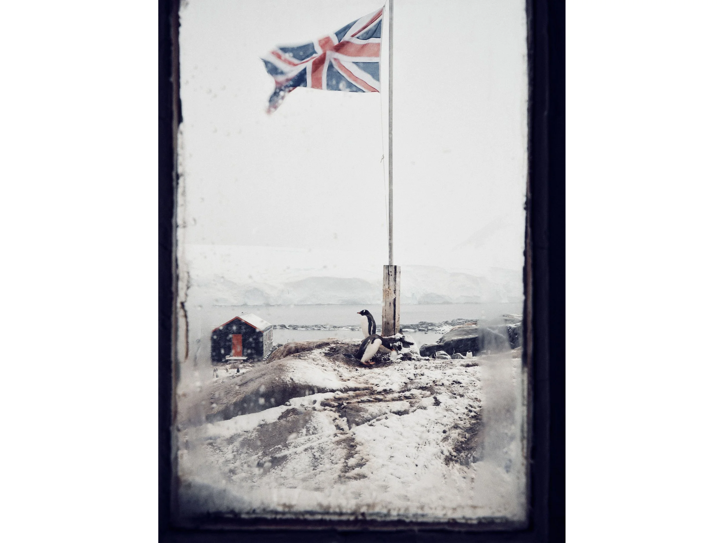 flag_window_4x3_white.jpg