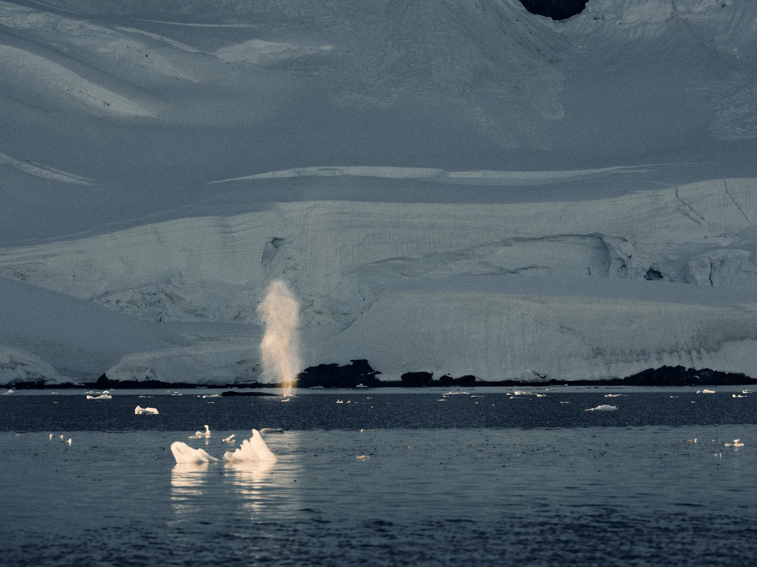 40antartica.jpg