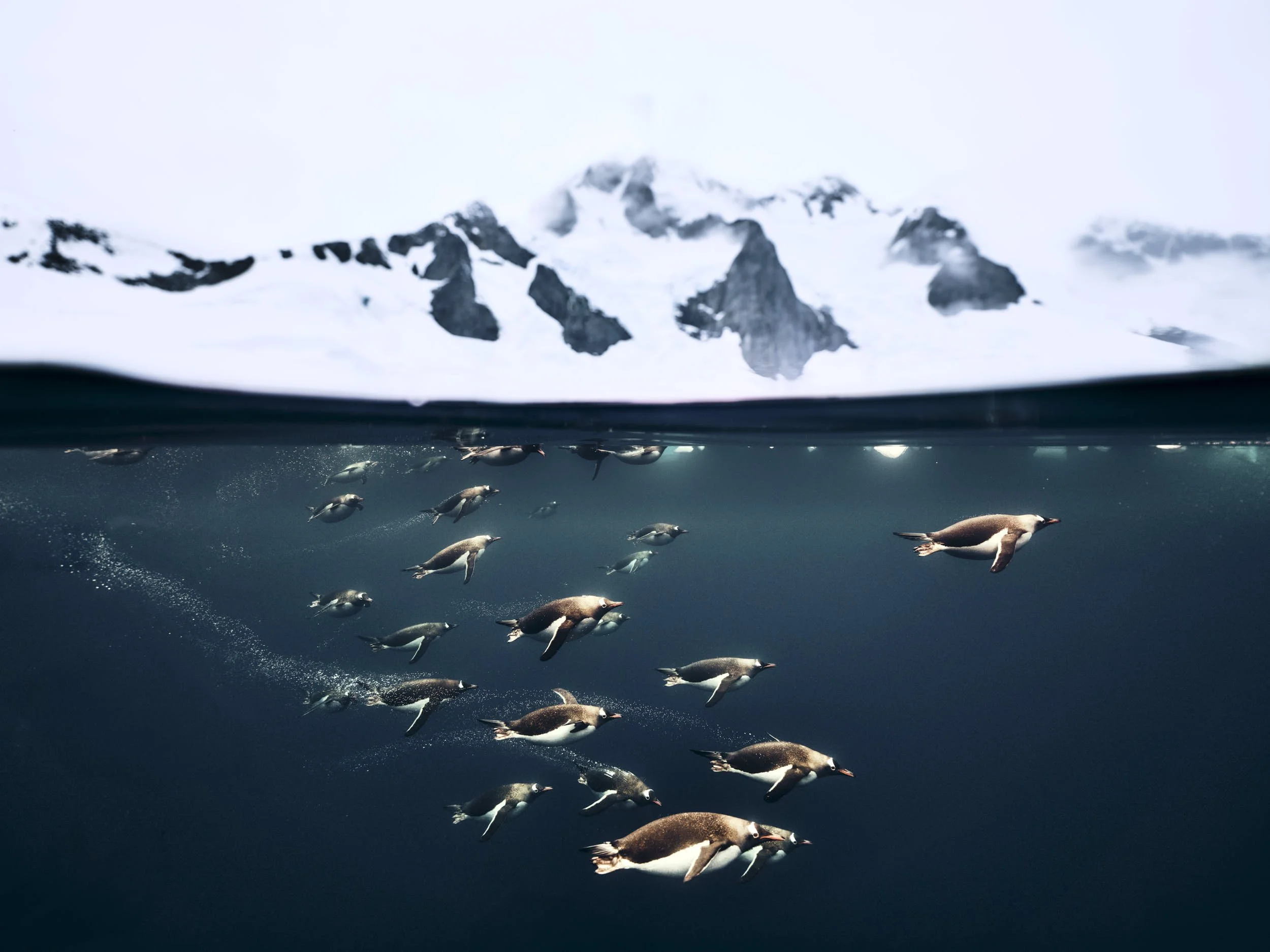 antartica 5.jpg