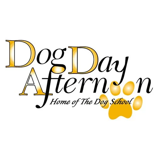 Dog-Day-Afternoon-1.jpg