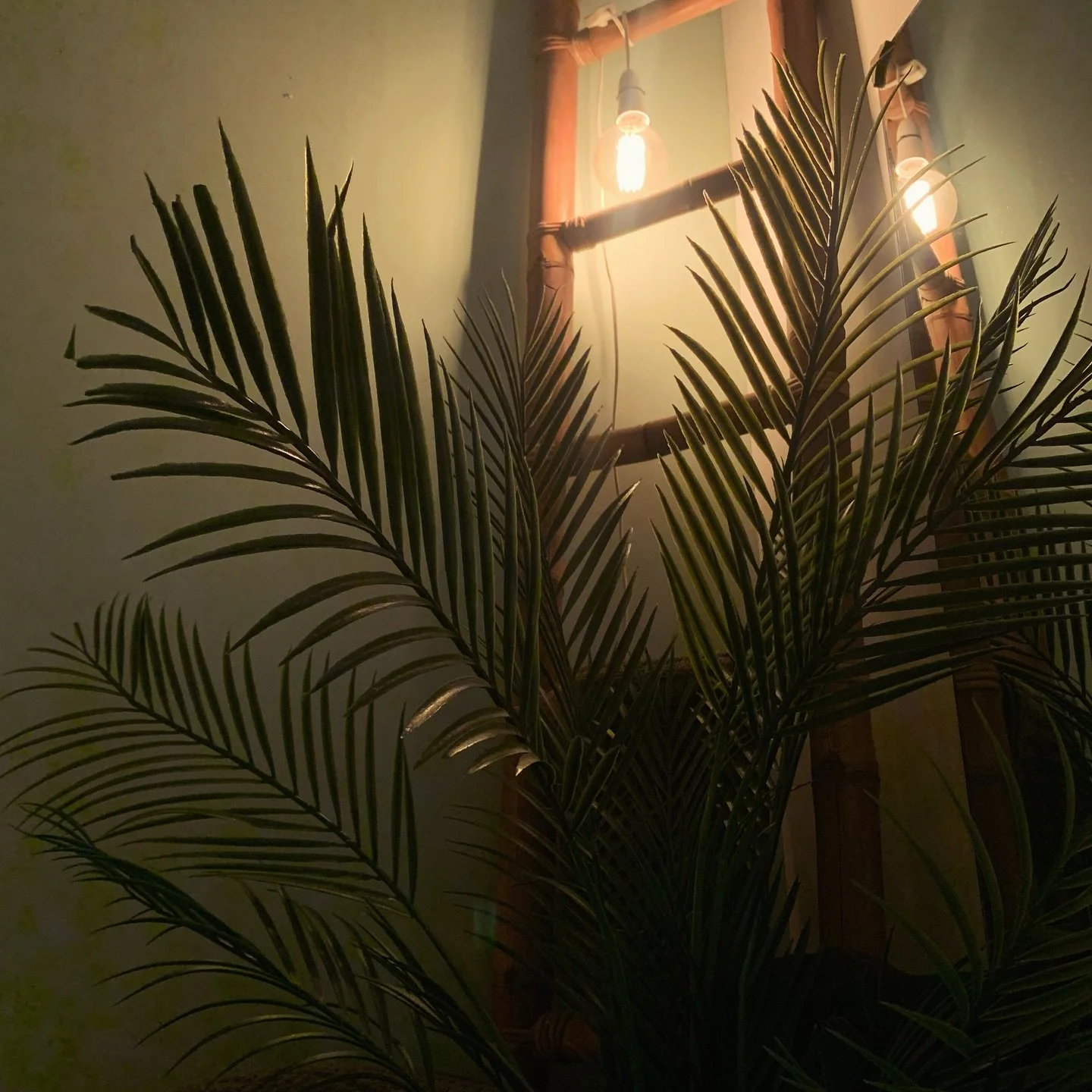 SPACE AVAILABLE THIS MORNING ✨
Dm me now and it&rsquo;s all yours 😌🫶🏻