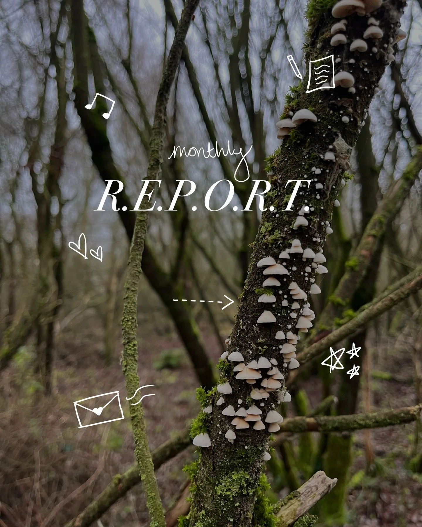 Our last Monthly R.E.P.O.R.T of 2025, for December 🎄💫
 
Rounding off last year with some final reflection 💭
Here&rsquo;s everything we got up to in the 12th month of 2025:
 
🔓R (reading) ~ ngl, this one wasn&rsquo;t my vibe
🍛E (eating) ~ obligat