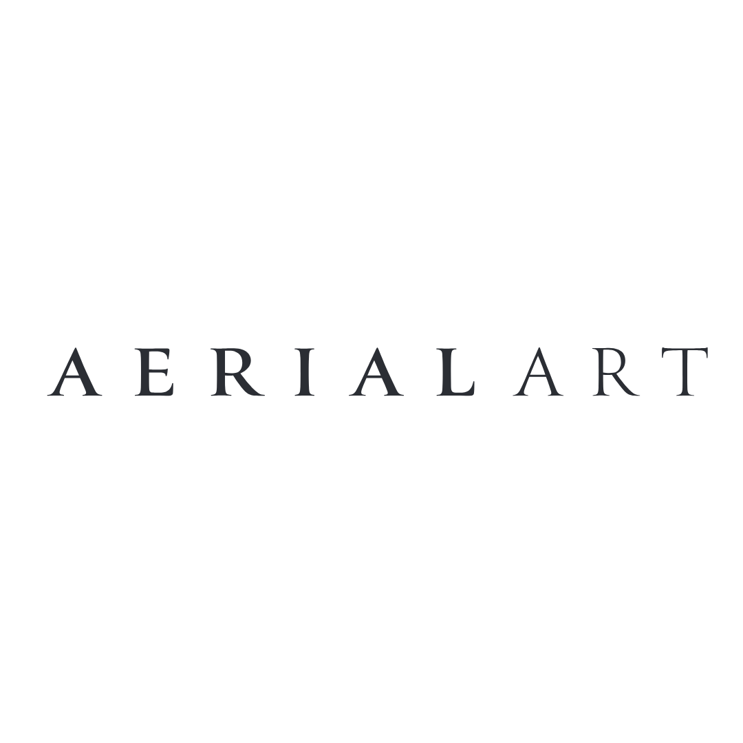 Aerial Art concepts .png