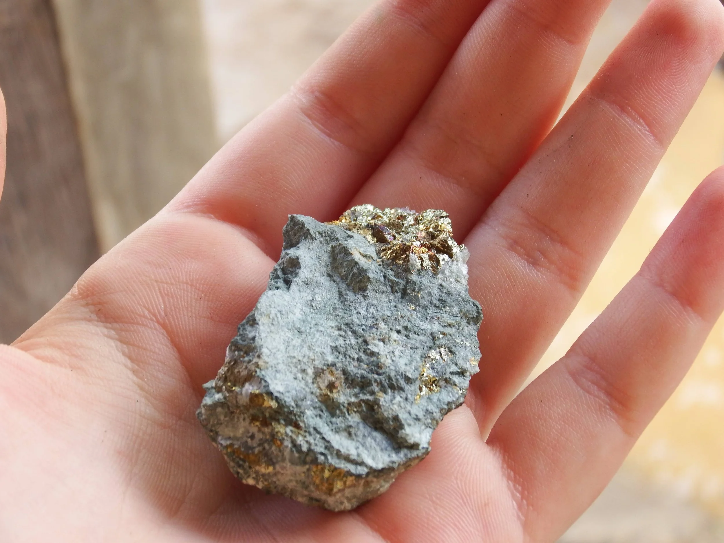 CAFTA treaty and Prospect of New US Sanctions Against Nicaragua