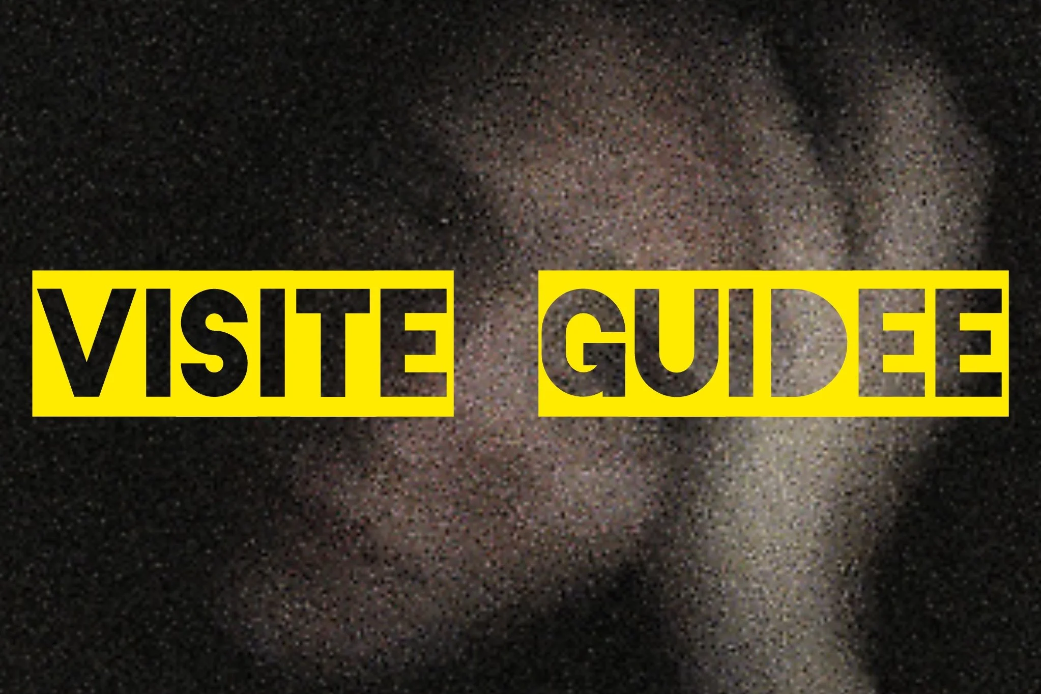 Visite Guidée «&nbsp;Deceptively Quiet&nbsp;» Veronique kolber
