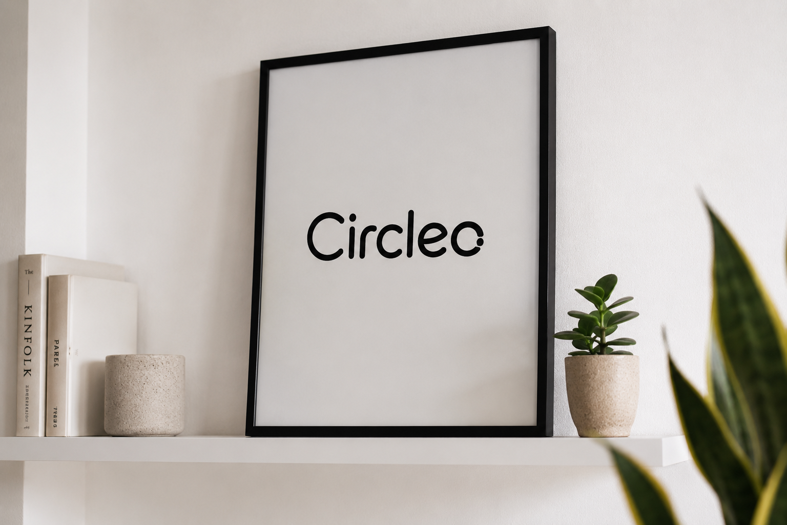 A white shelf with three books, a textured white pot, a framed white poster with black text reading 'Circle', and a small potted succulent plant, with part of a green leafy plant visible in the foreground.