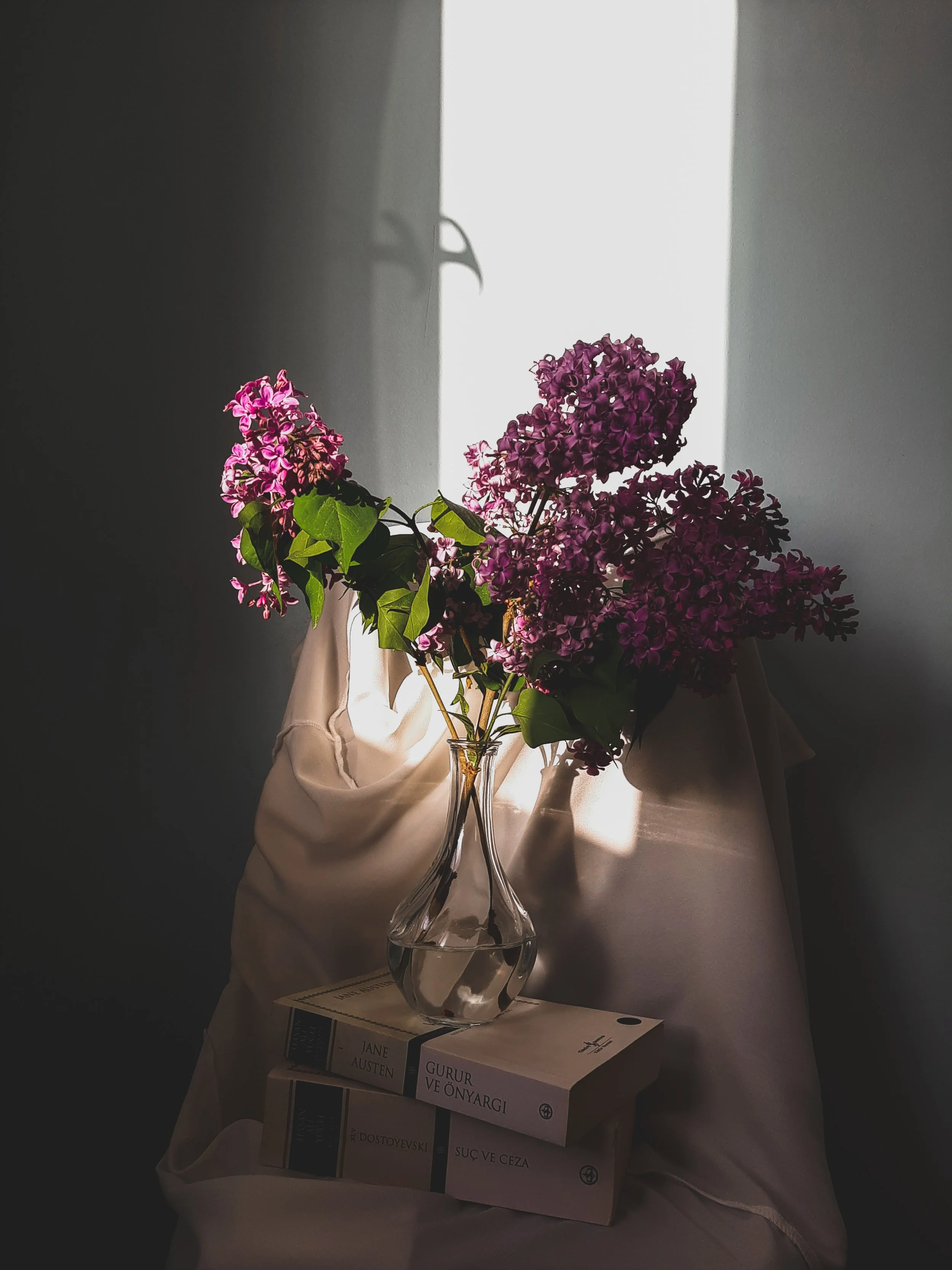 Why Imagery is Important For Your Brand Strategy