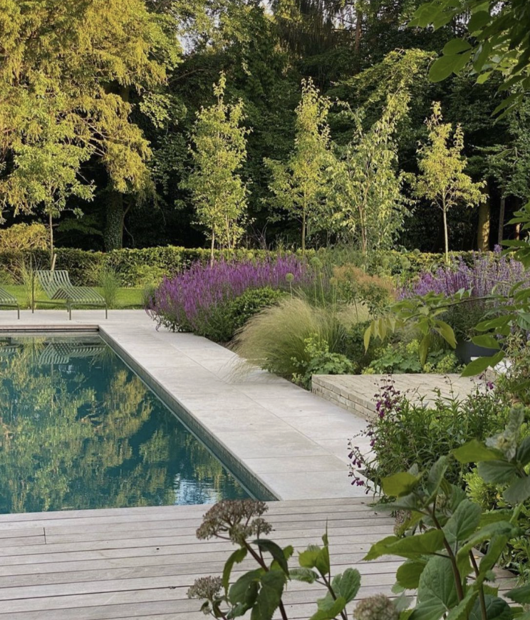 Screenshot 2026-01-04 at 7.53.57 AM.png