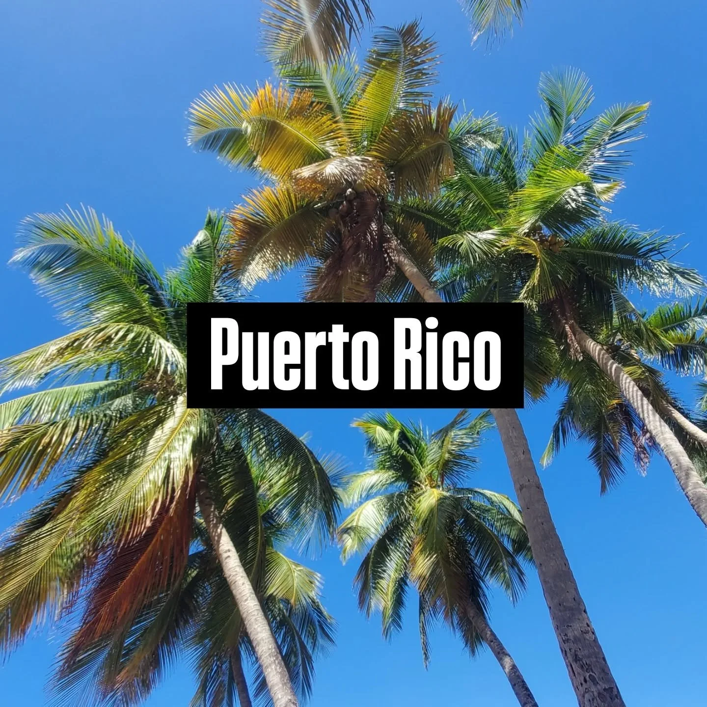 Had a blast in Puerto Rico with my best buds😁

#puertorico #grouptravel