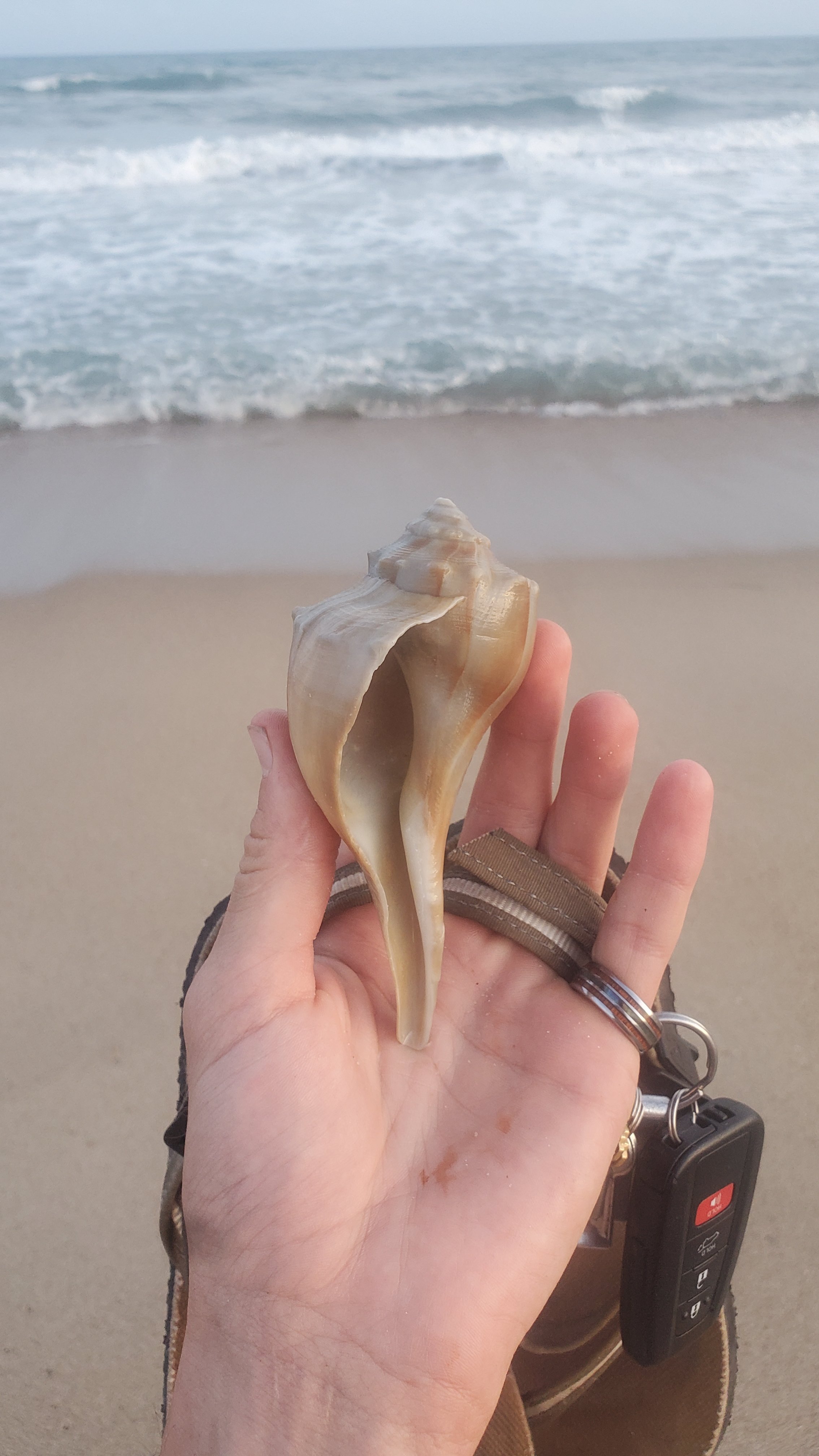 Hatteras Island, North Carolina: Sun, sand, &amp;  (almost) Surfing