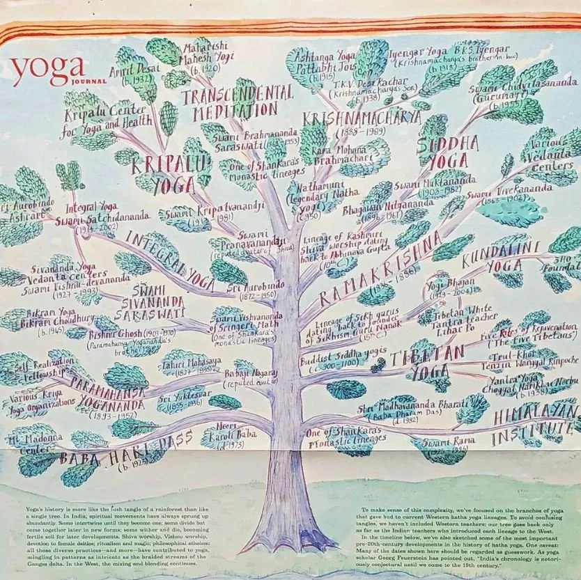yoga tree poster.JPG