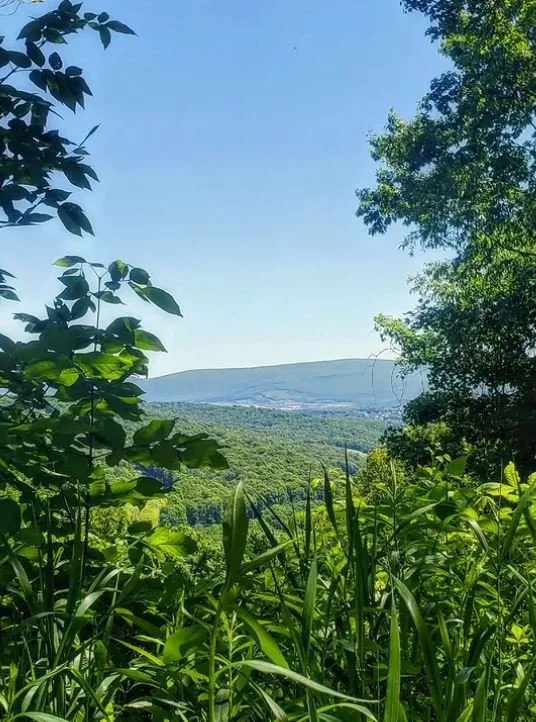 Hollidaysburg, PA: Revisiting my Hometown