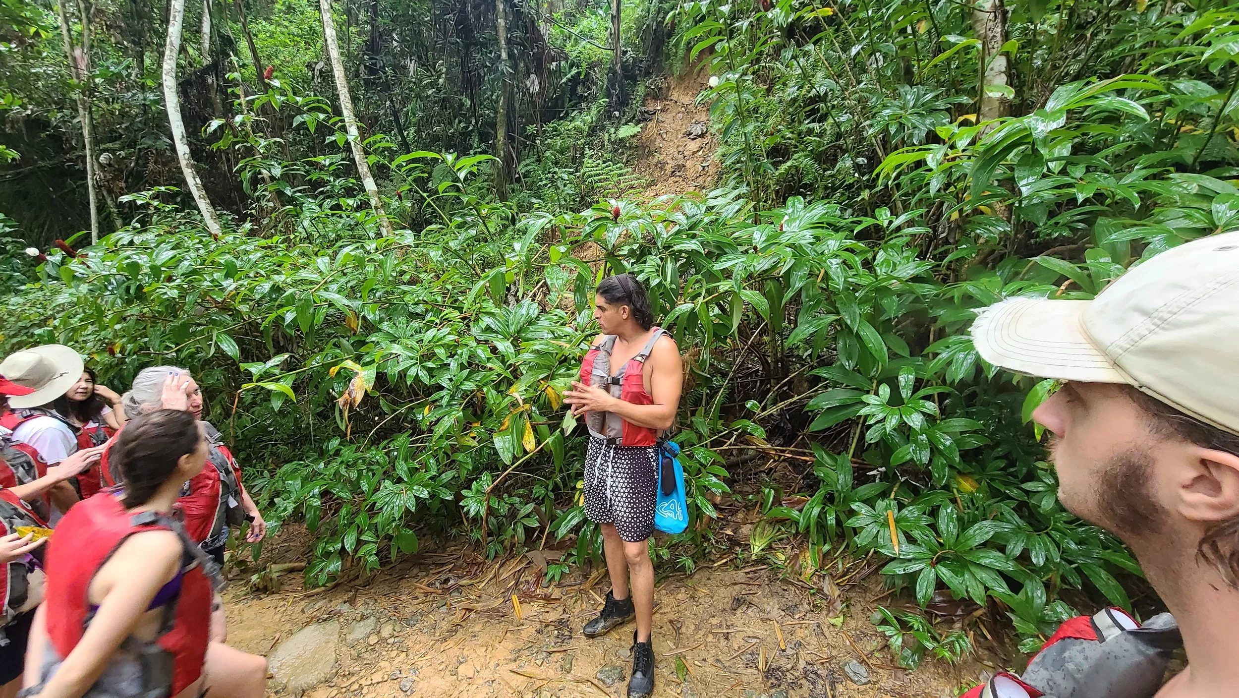 jason teaching us about el yunque trail puerto rico