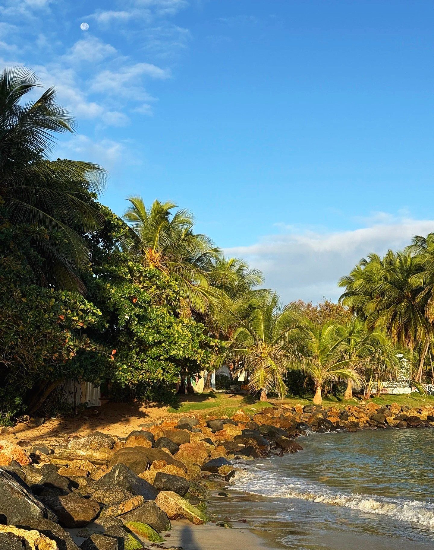 cove in san juan puerto rico