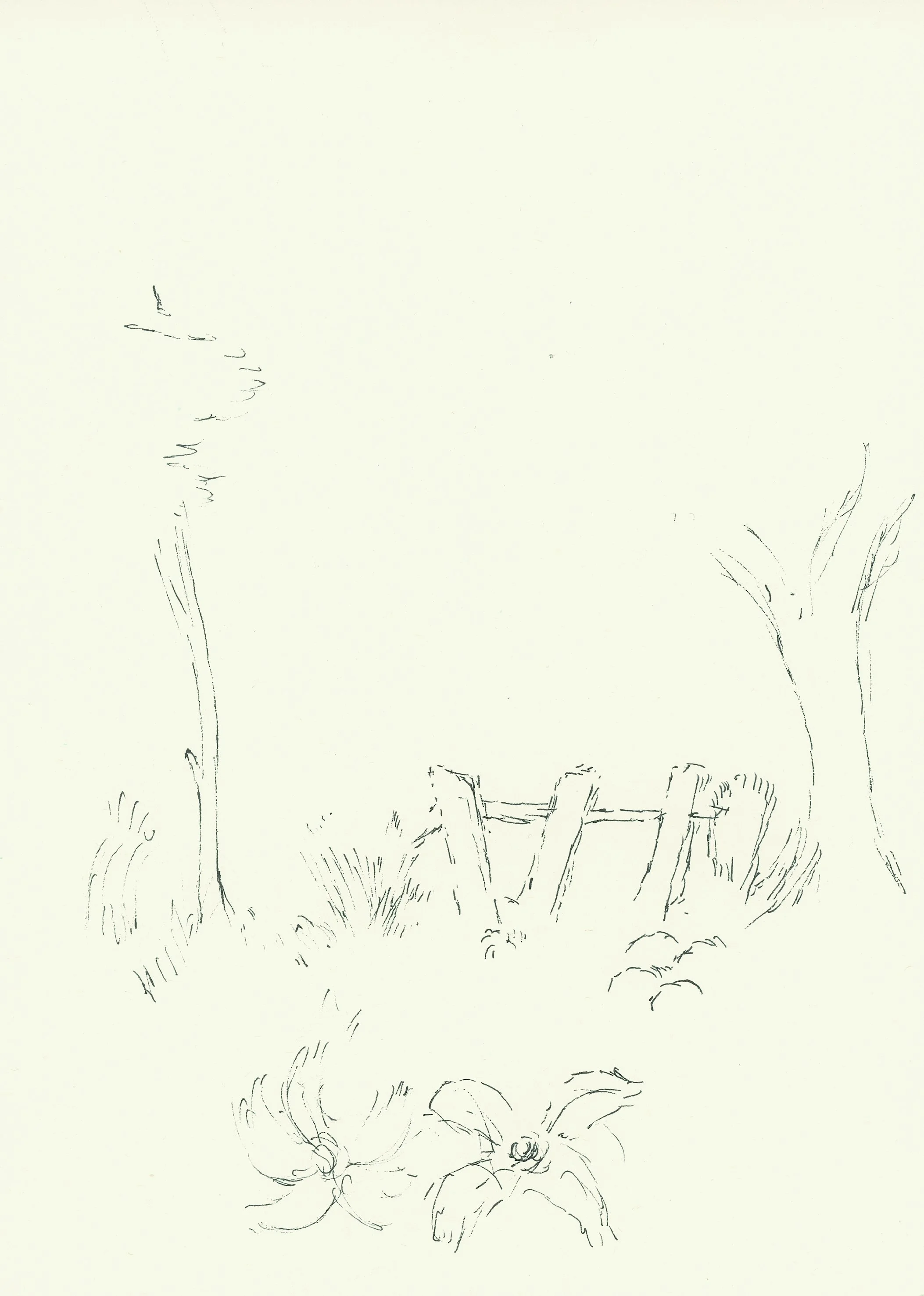 BROKEN FENCE 2004 Pen on watercolour paper 23.8 x 17 cm