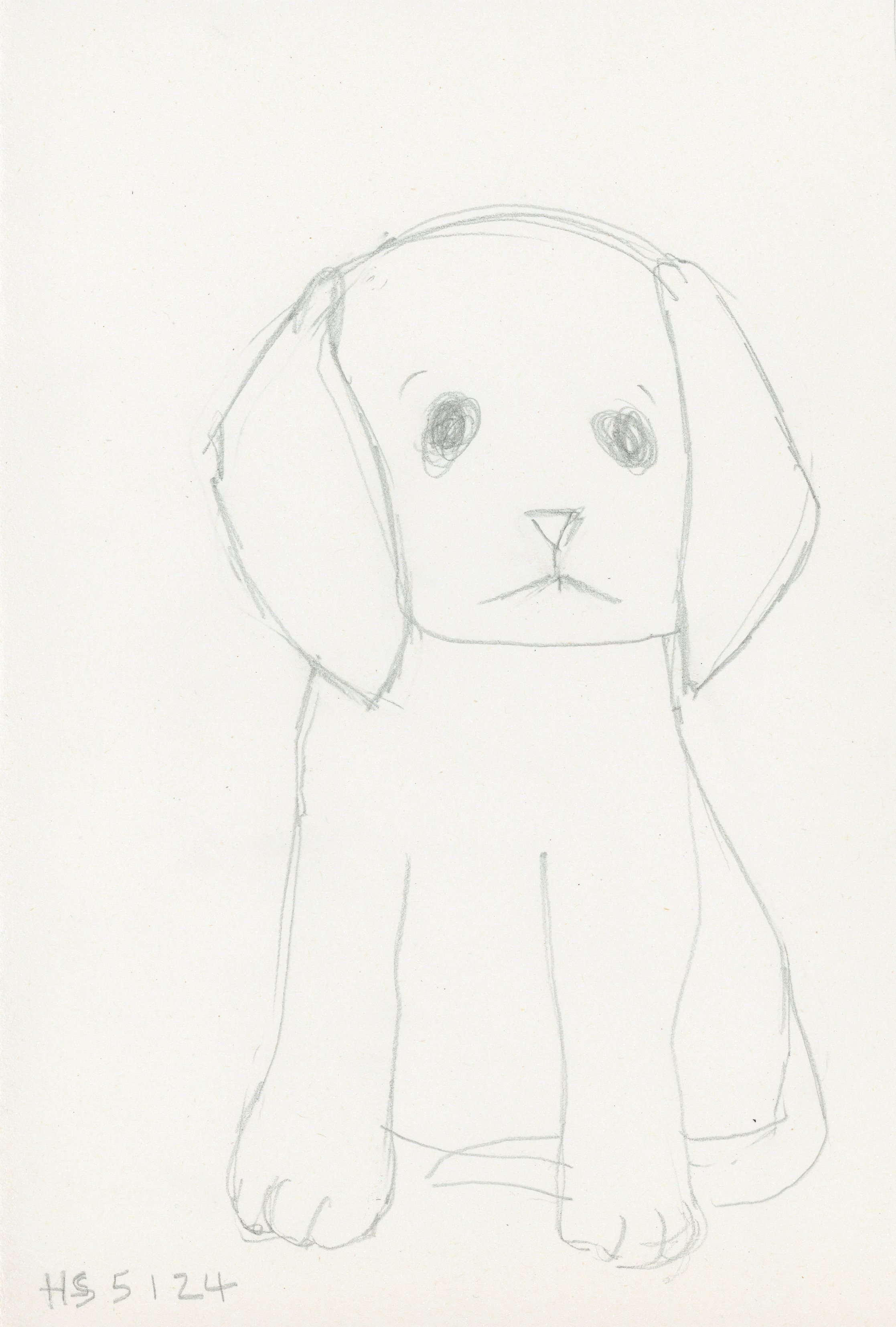 PUPPY 1 2024 Pencil on lining paper 28 x 19 cm