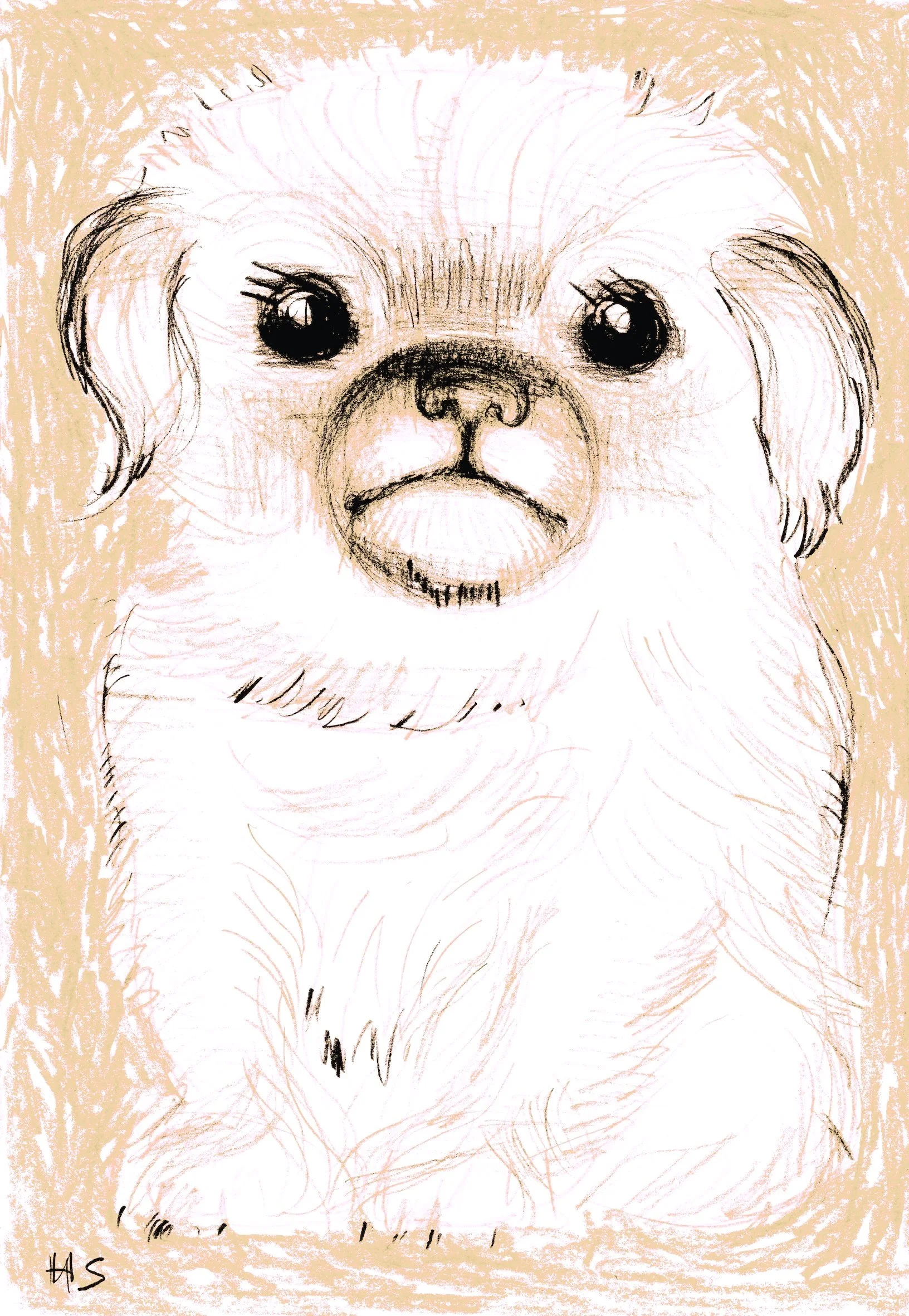 PUPPY FILLS THE PAGE WHITE & BEIGE 2025  Archival digital print on paper 29.5 x 20.8 cm