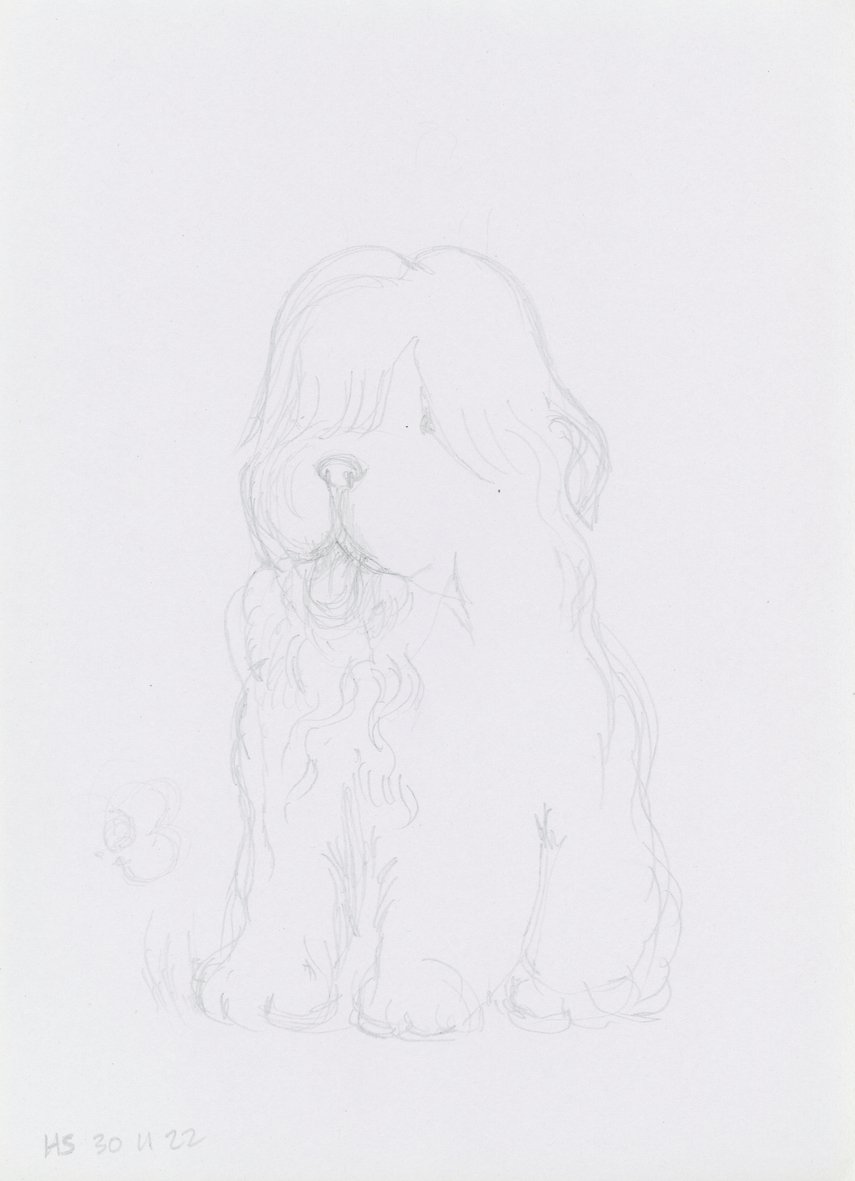 DULUX DOG 2022 Pencil on found paper 28.8 x 21 cm 