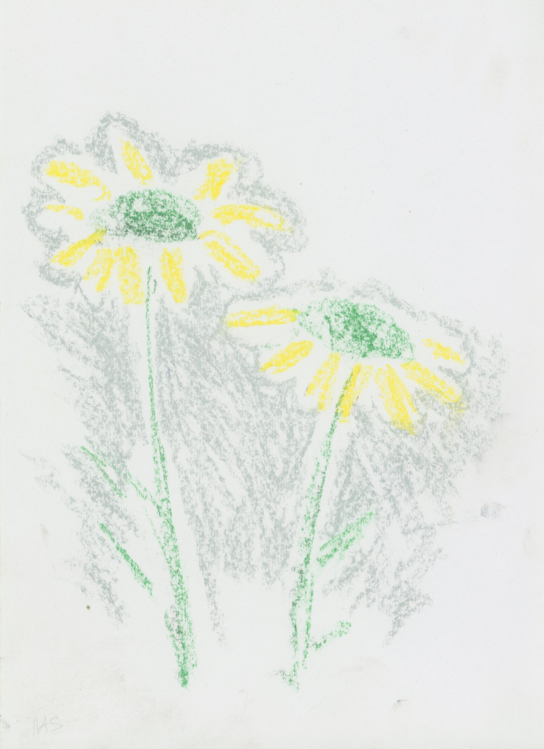  YELLOW FLOWERS 2023 Pastel on rough paper 29.5 x 21 cm