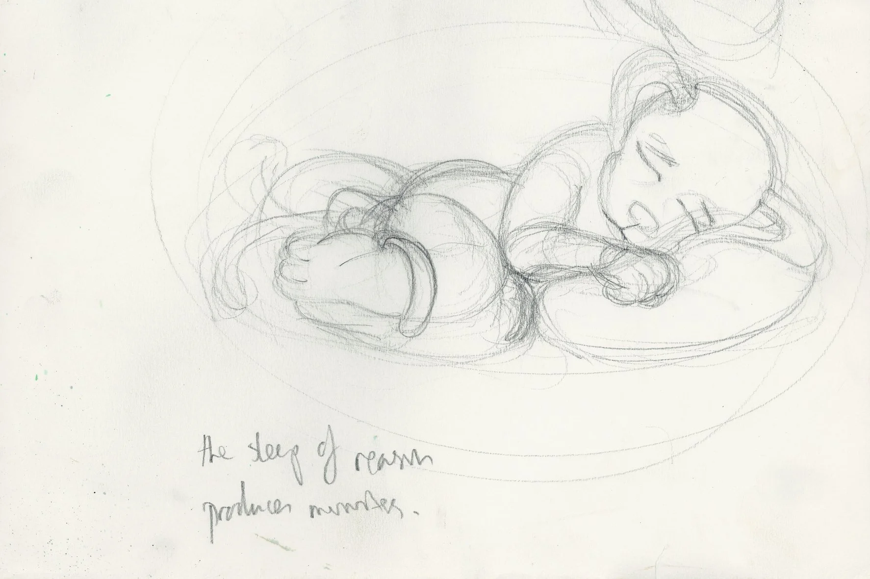 THE SLEEP OF REASON 2000 Pencil on cartridge paper 19.5 x 29 cm