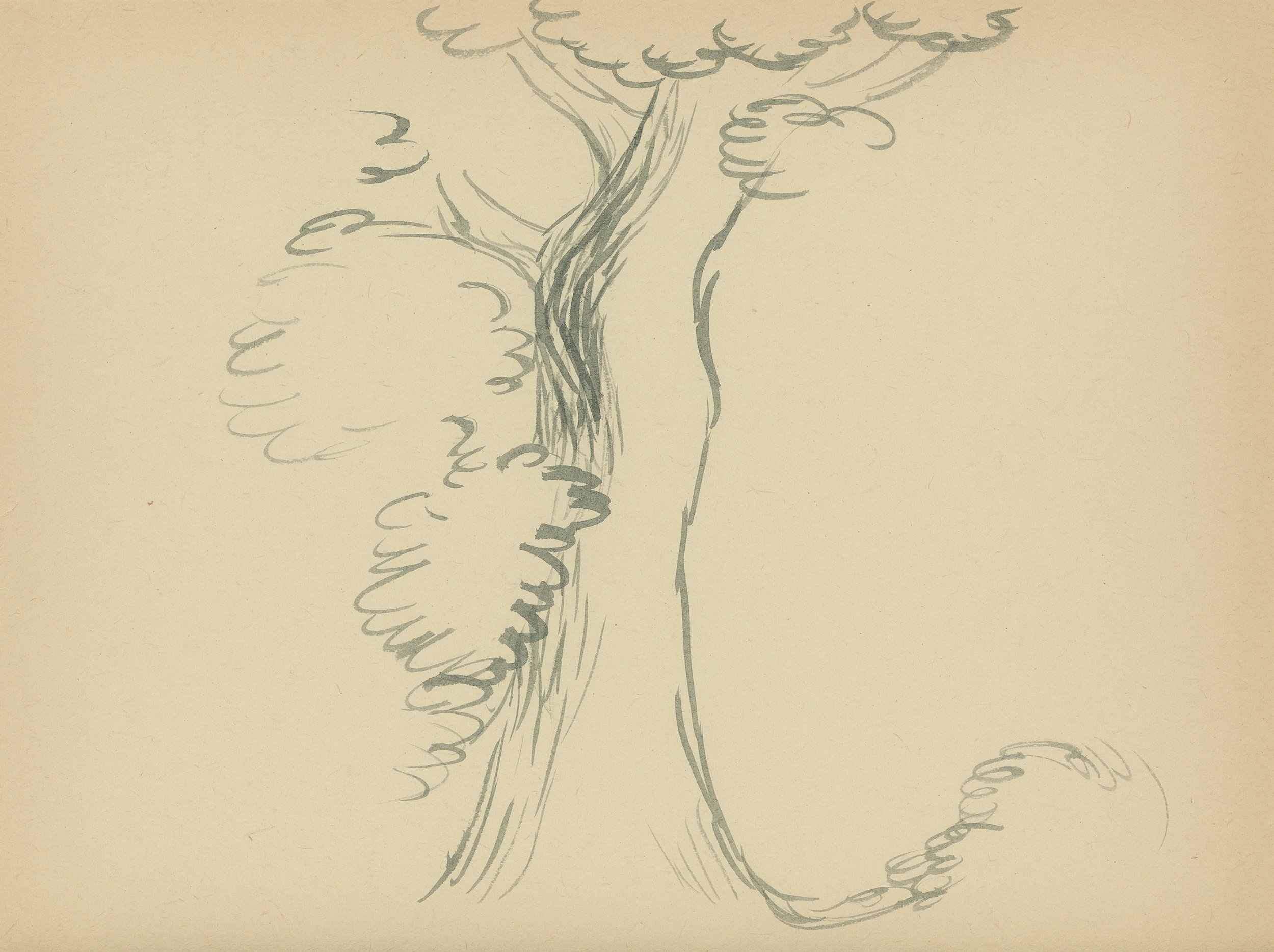 CROOKED OAK TREE 2006 Ink on found paper 18.7 x 24.8 cm