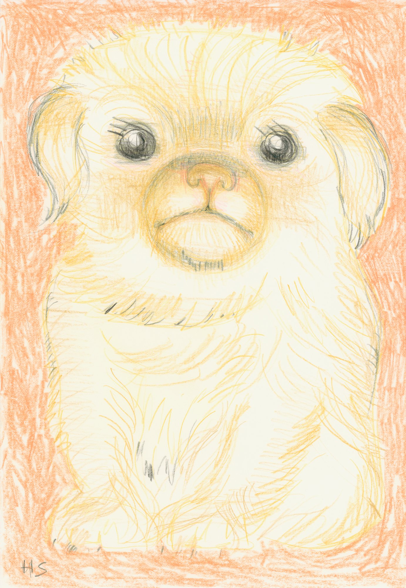 PUPPY FILLS THE PAGE 2024 Coloured pencil on paper 29.5 x 20.8 cm