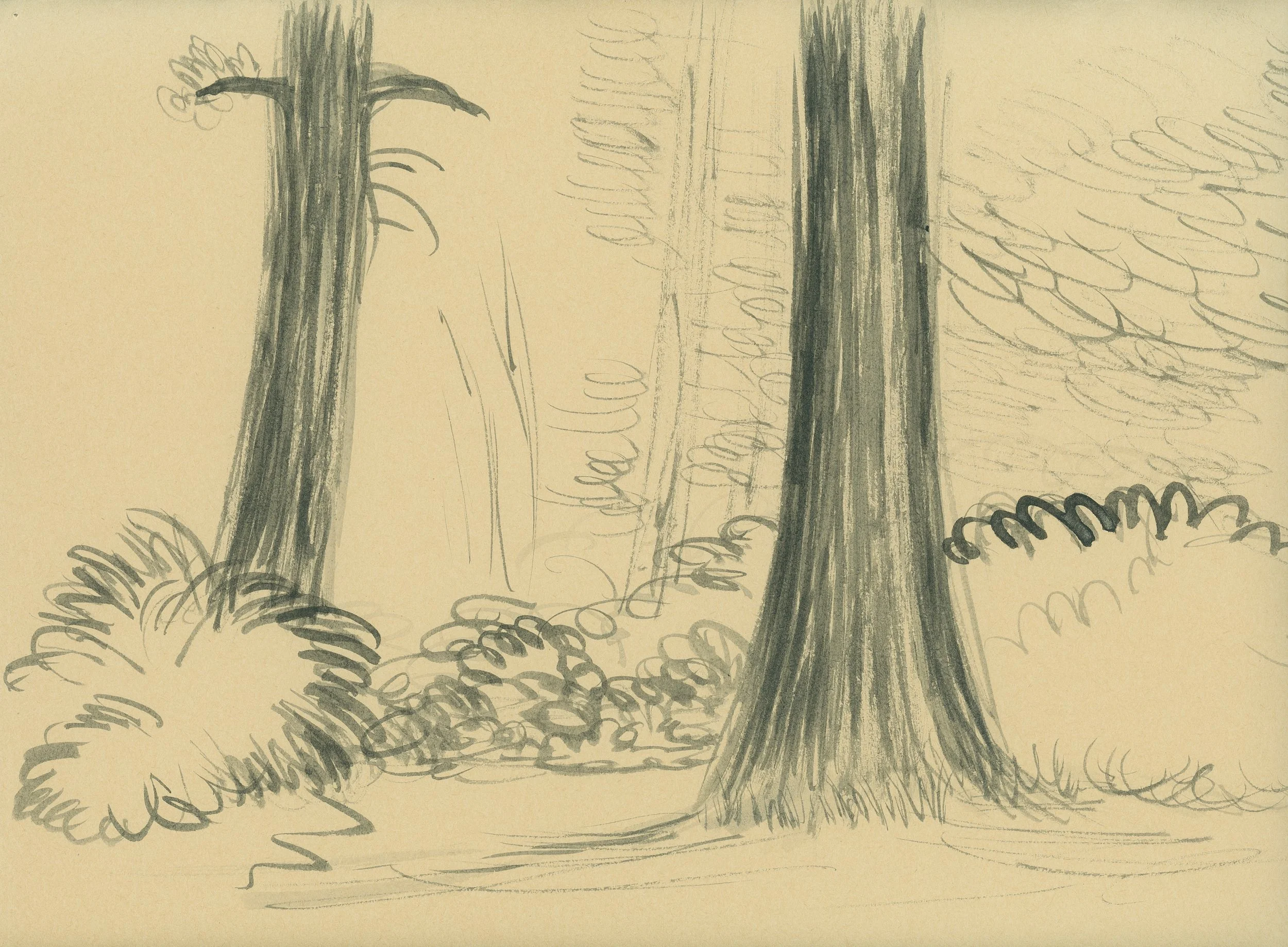 TWO TREES 2006 Ink on found paper 22 x 30 cm
