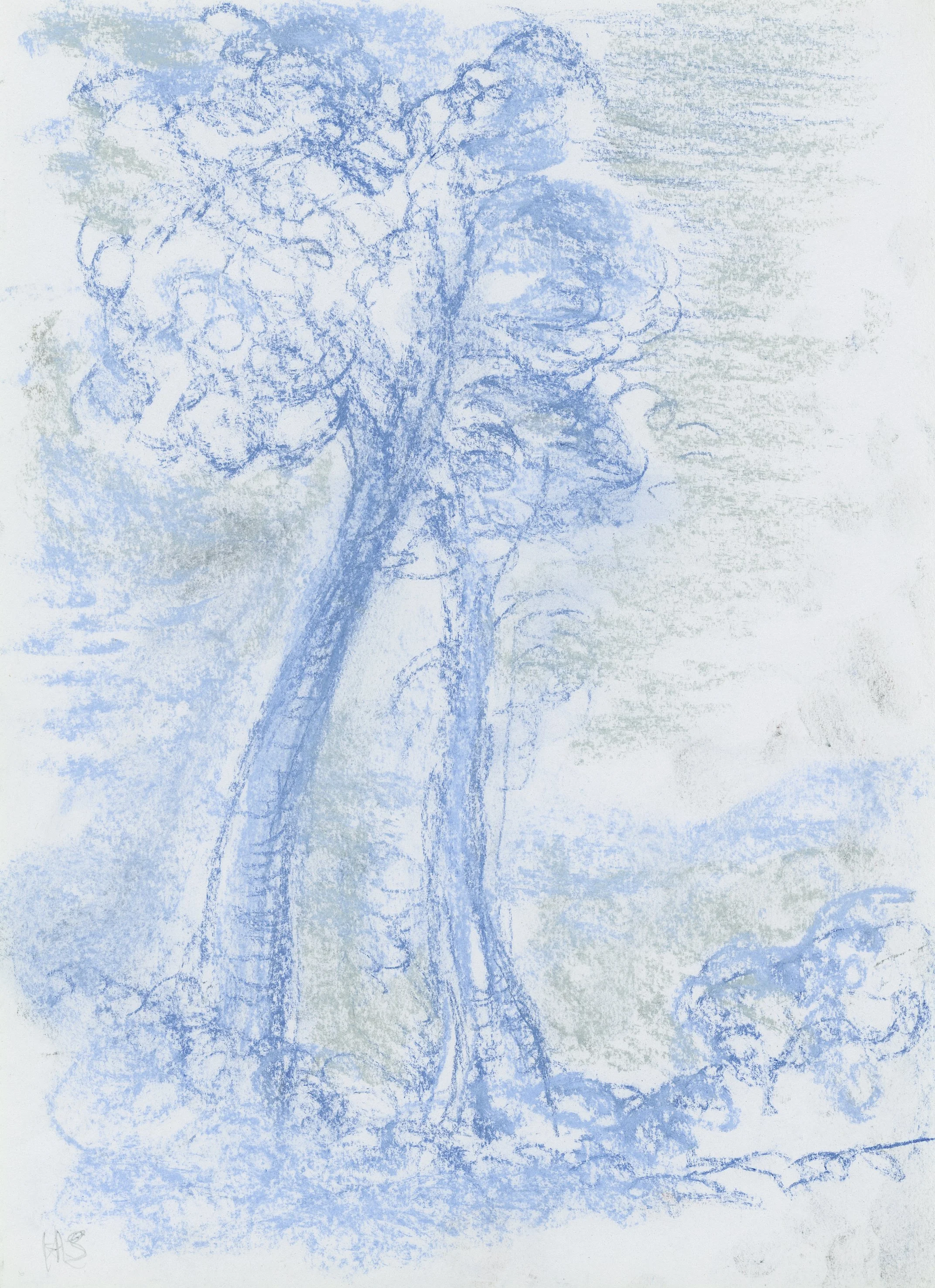 TWO TREES 2023 Pastel on rough paper 29.5 x 21 cm