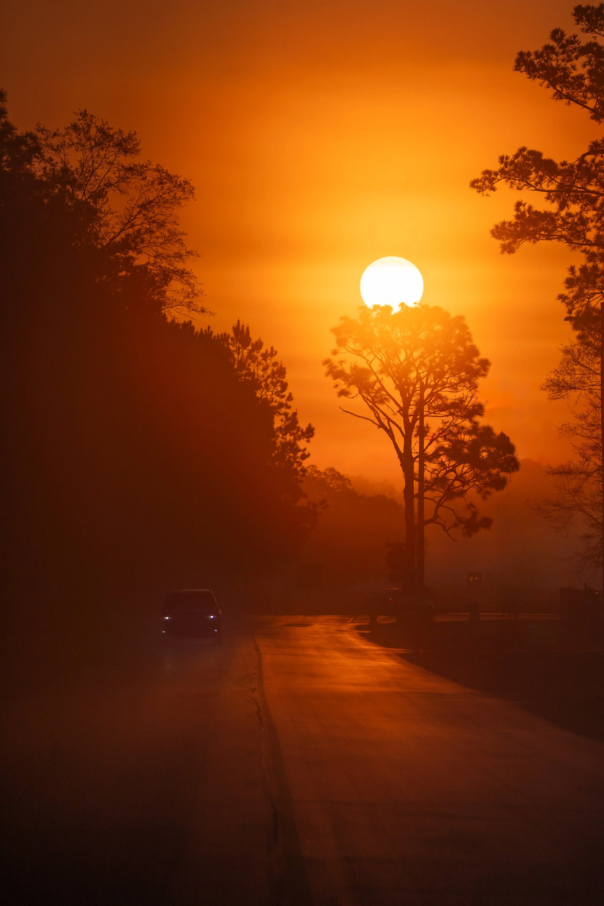 ASM09295-Edit.jpg