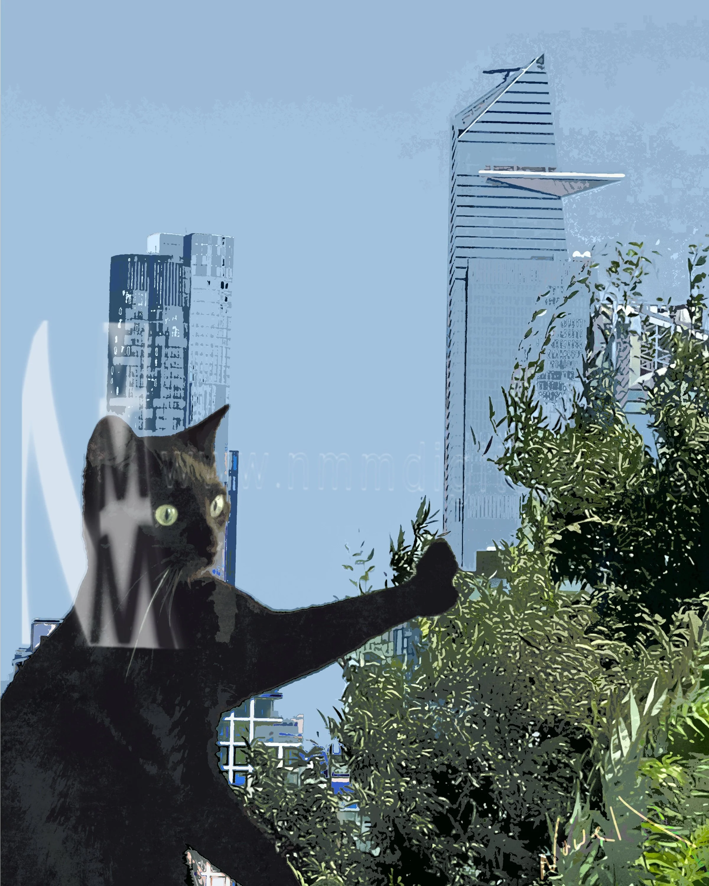 Kuro_Kitty_in_the__City:_NYC.jpg