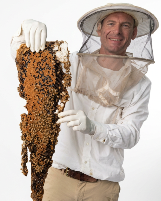 A beekeeper wearing protective gear holds a honeycomb frame covered in bees.