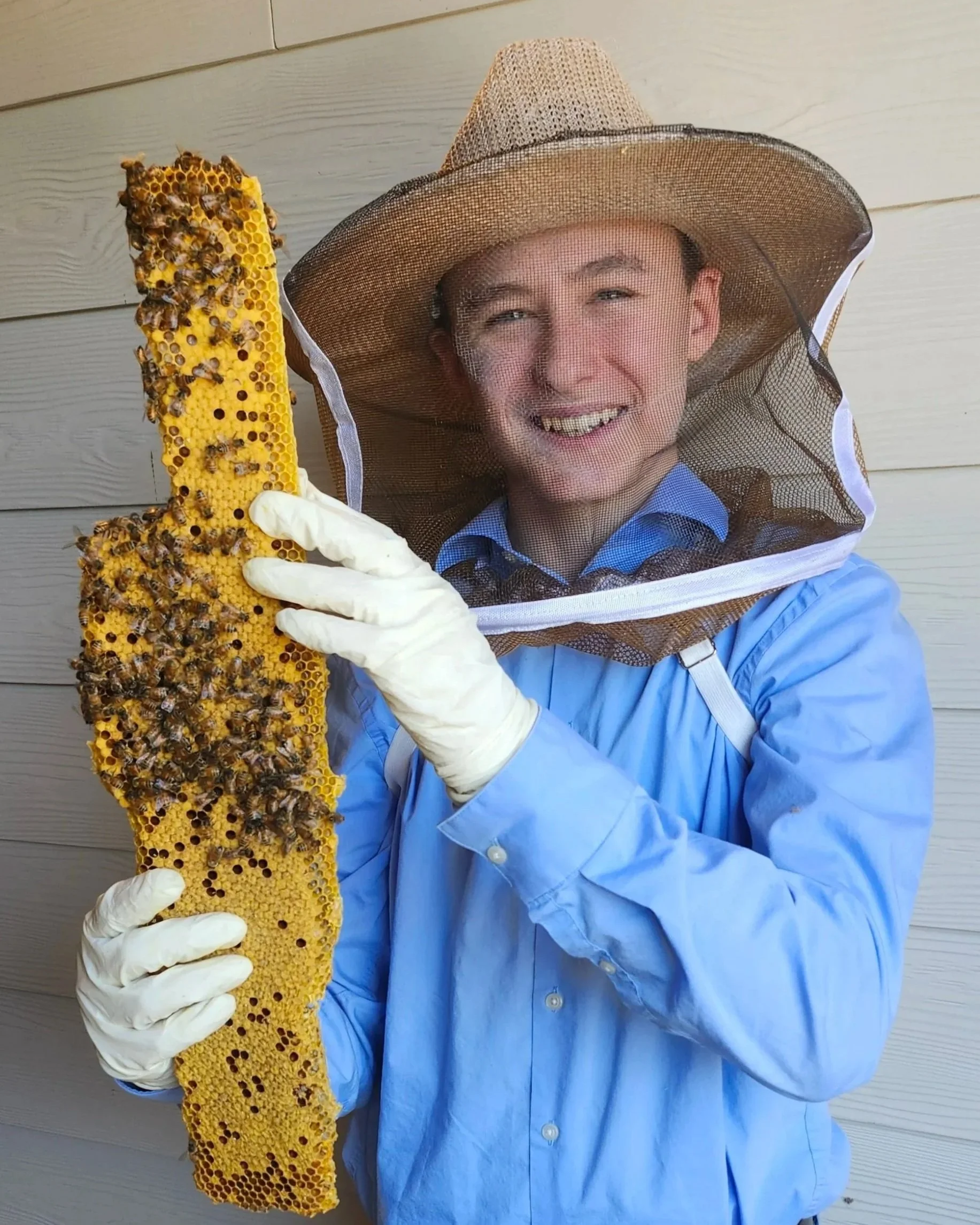 Person wearing a beekeeper suit and gloves holding a honeycomb frame with bees on it.