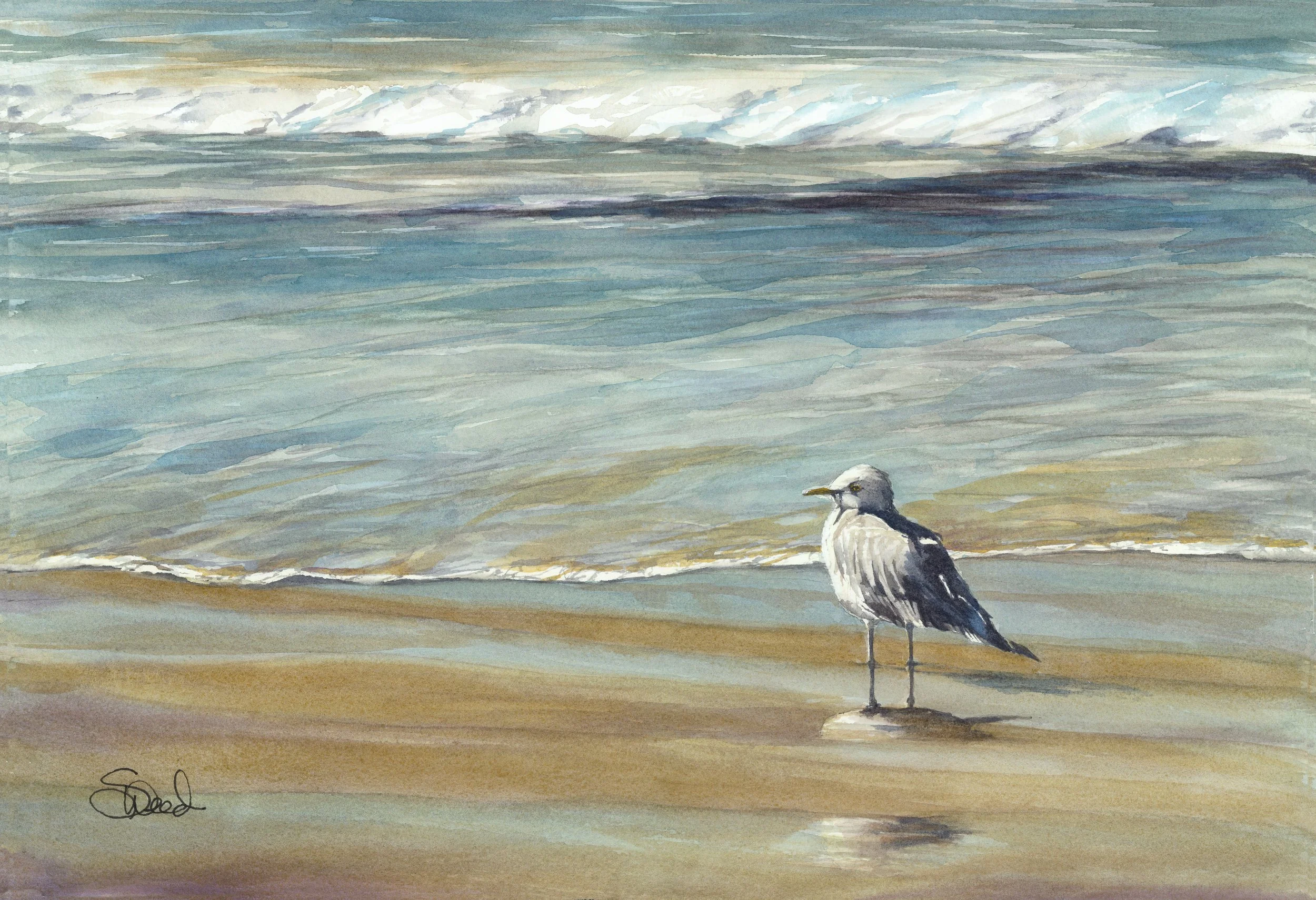  Waiting for Waves 
 Pismo Beach, California
 13 in x 19 in (33 cm x 48 cm)
 Watercolor