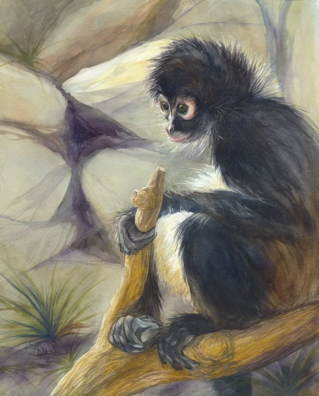  Mexican Spider Monkey 
 Central Coast Zoo, Atascadero
 20 in x 16 in (51 cm x 41 cm)
 Watercolor