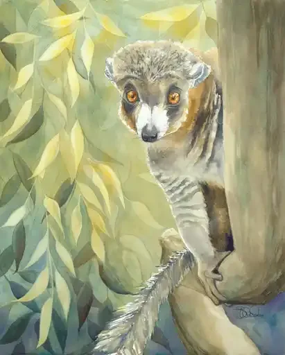  Mongoose Lemur 
 Central Coast Zoo
 20 in x 16 in (51 cm x 41 cm)
 Watercolor