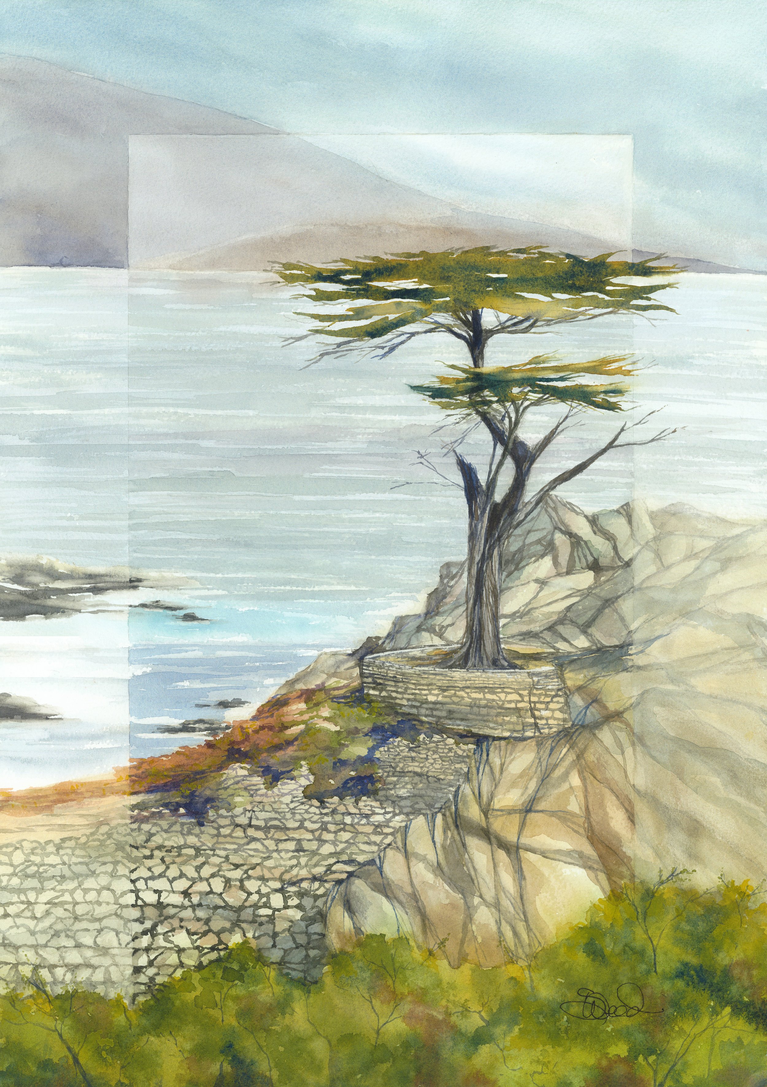  Lone Cypress 
 Pebble Beach, California
 20 in x 14 in (51 cm x 36 cm)
 Watercolor
 original   SOLD  
 prints available