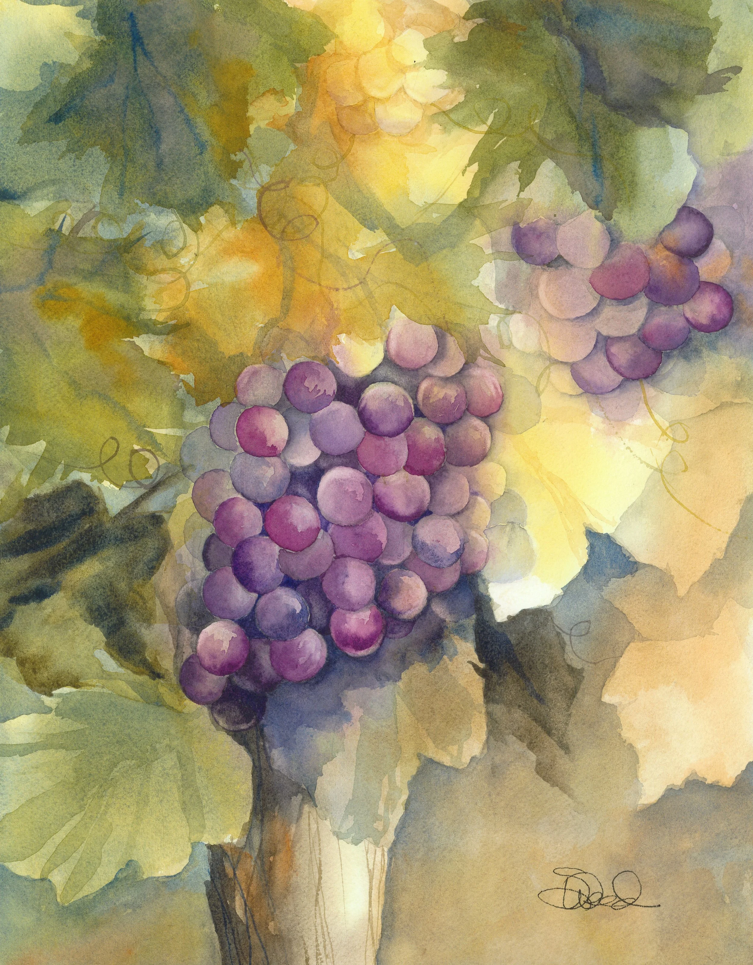  Pinot Cluster 
 14 in x 11 in (36 cm x 28 cm)
 Watercolor