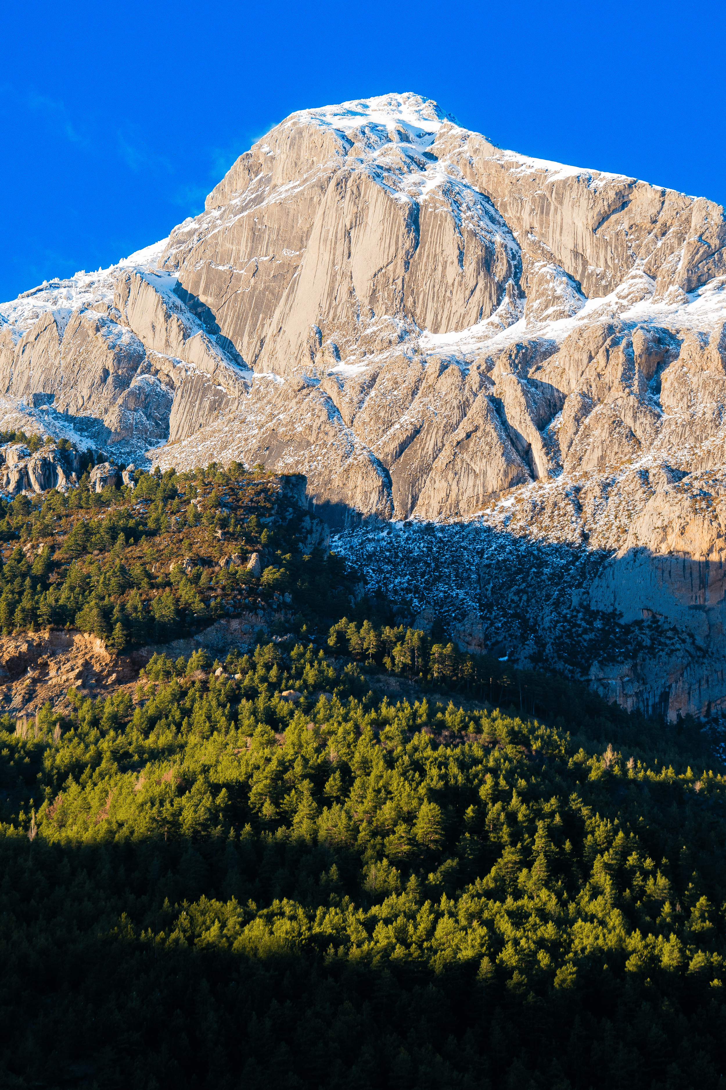 Montaña con cumbre nevada y bosque de pinos verdes en la base, en un día despejado con cielo azul.