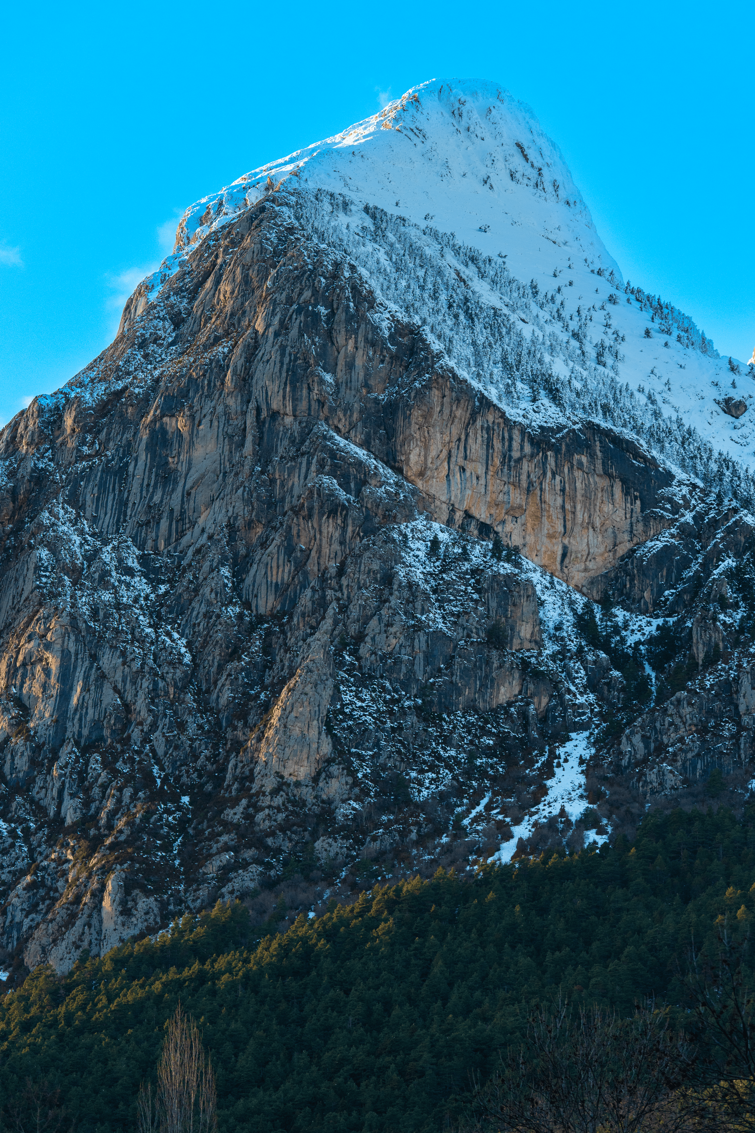 Montaña nevada con pinos en la base y cielo azul.
