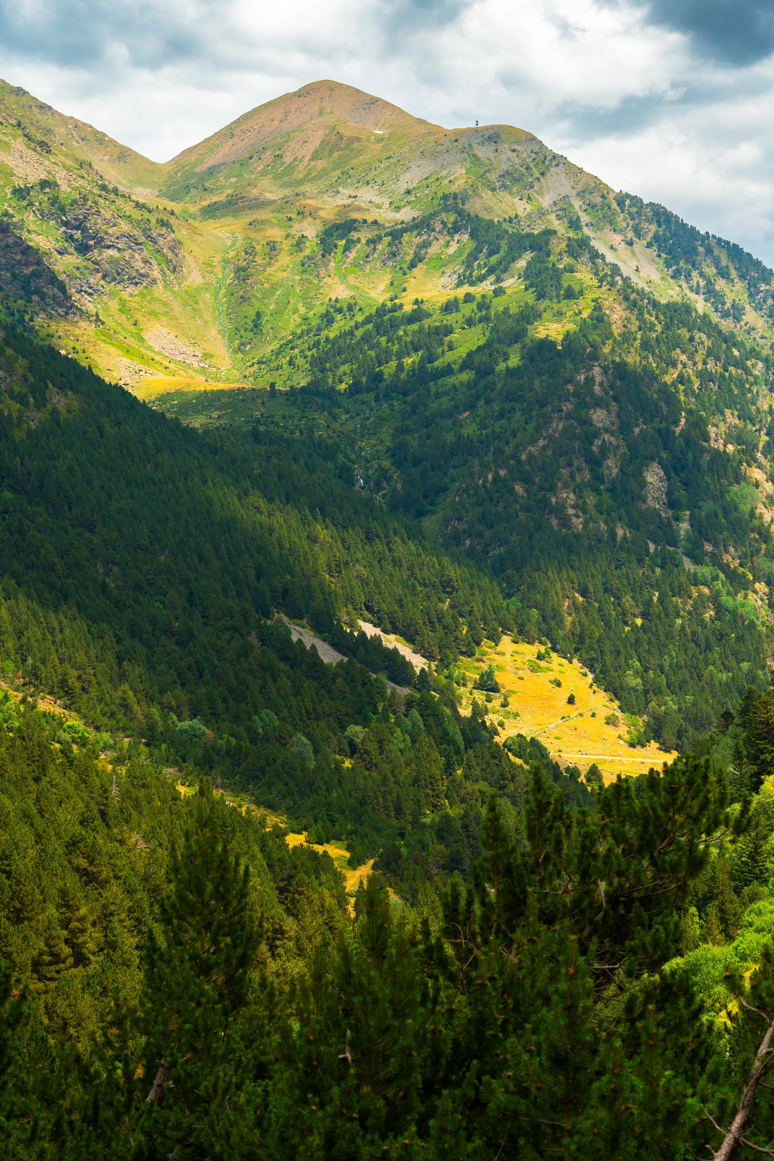 Vista de una cordillera con picos cubiertos de vegetación y arbustos, bajo un cielo nublado, en un paisaje montañoso.