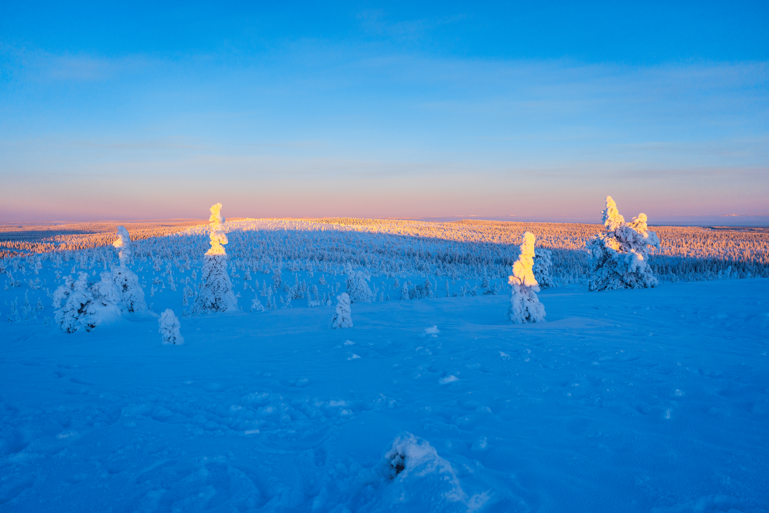 Paisaje invernal con árboles cubiertos de nieve y cielo claro al atardecer