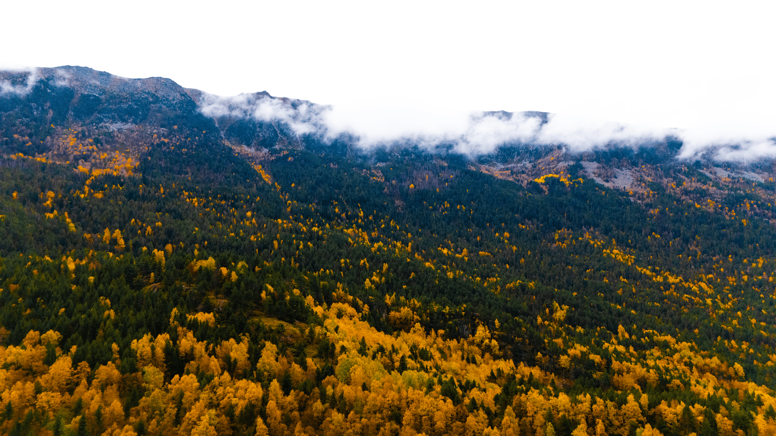 Vista panorámica de una montaña con árboles de otoño en tonos verdes y amarillos, con nubes cubriendo parcialmente la cima, en un día nublado.