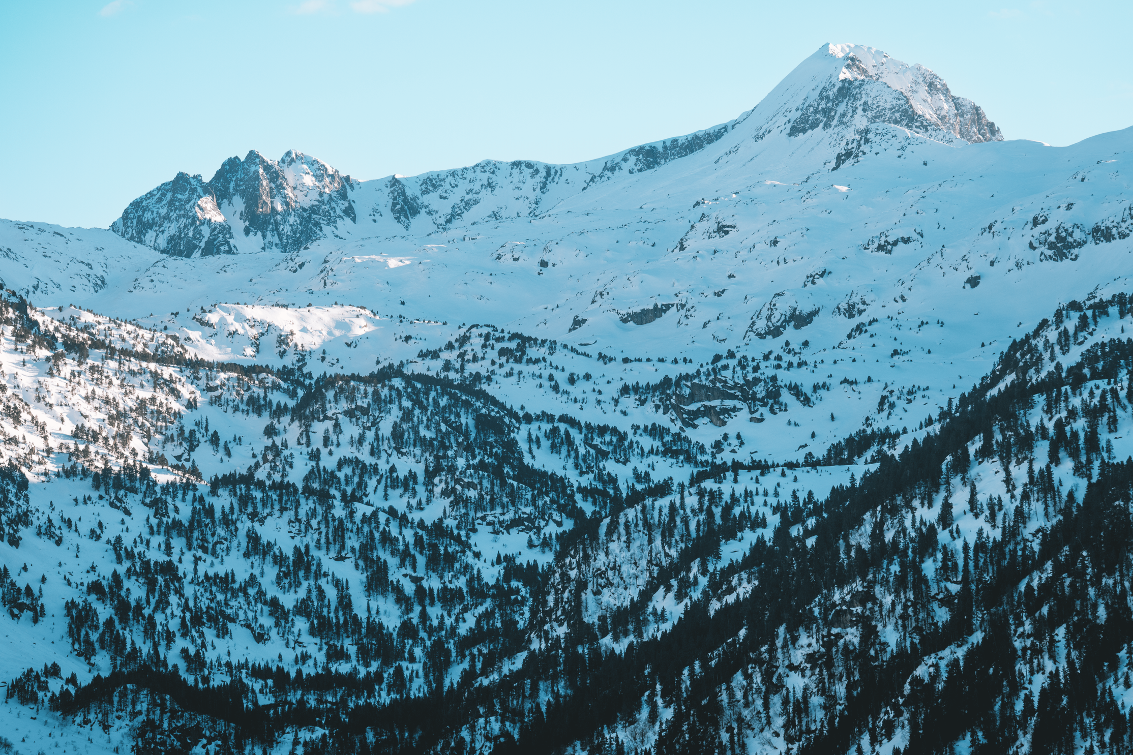 Montañas nevadas con bosques en la base y cielo despejado.