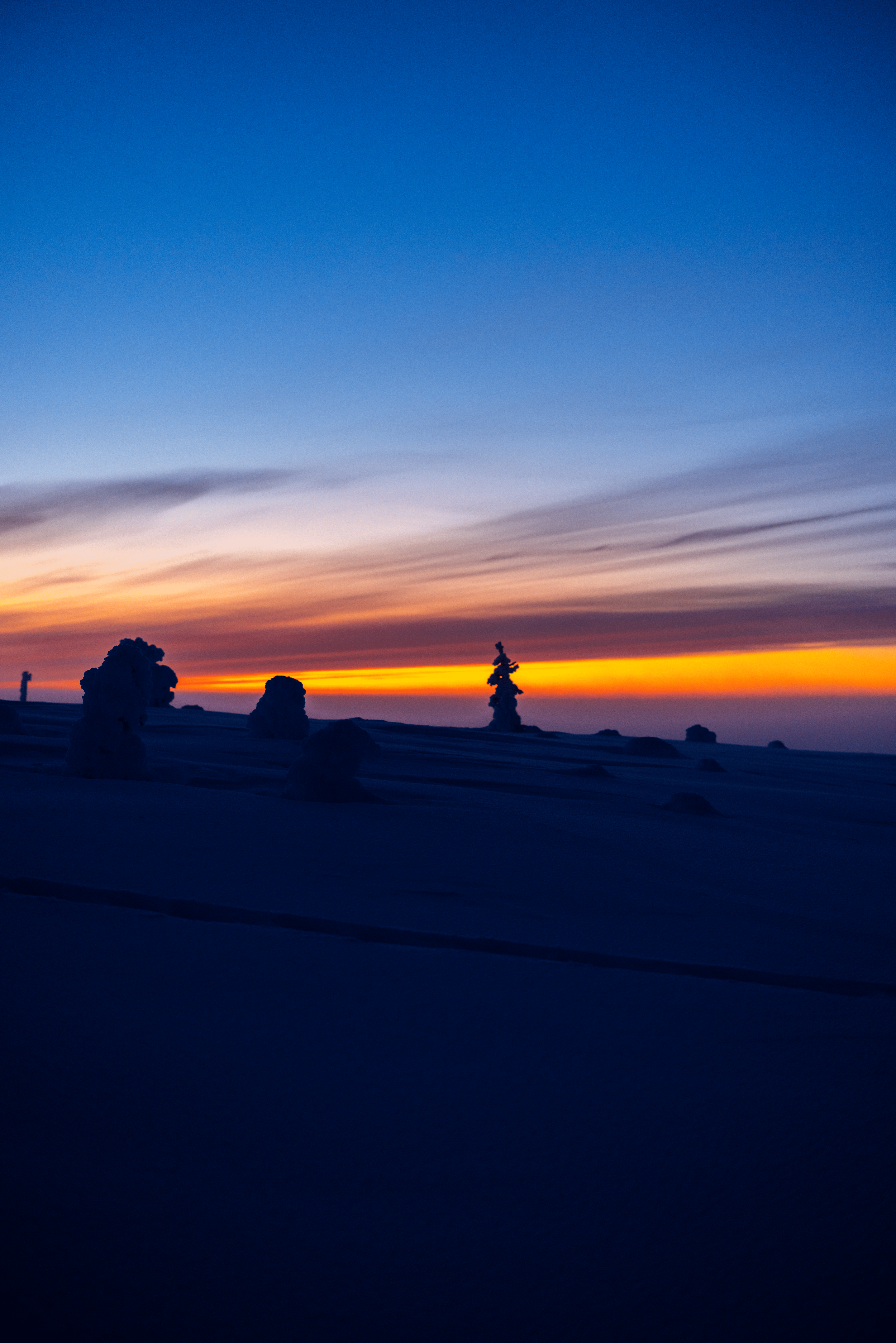 Atardecer en la nieve con árboles cubiertos de nieve en un paisaje congelado y cielo con tonos anaranjados, rosados y azules.