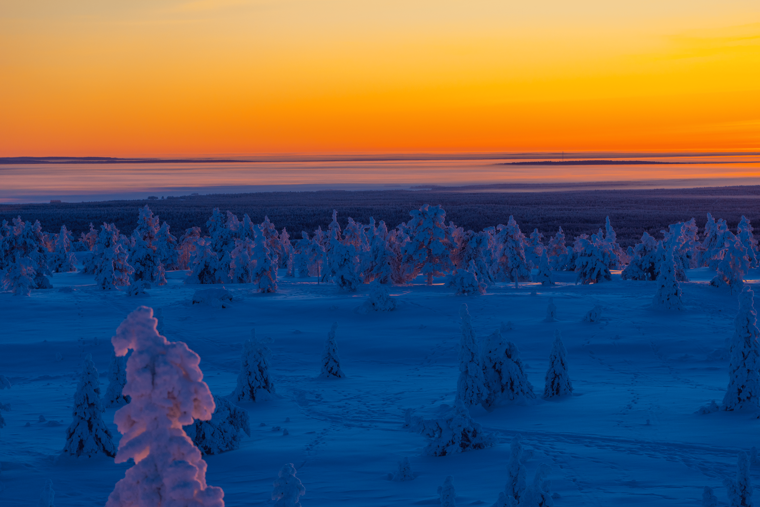 Paisaje de un bosque de árboles cubiertos de nieve durante el atardecer, con un cielo naranja y amarillo y un horizonte con agua y tierras lejanas.
