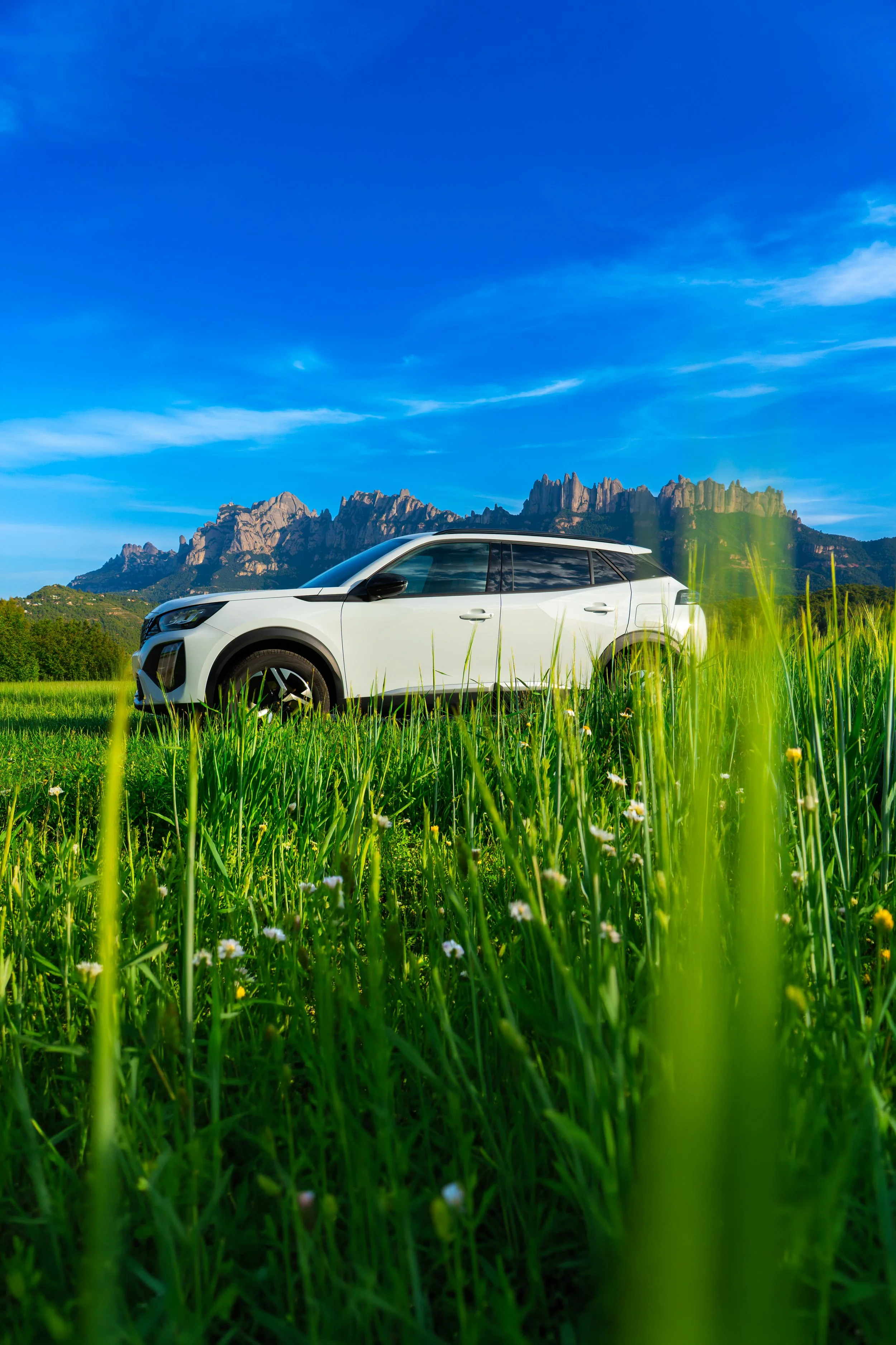 Coche blanco en un campo de hierba con montañas y cielo azul brillante en el fondo.