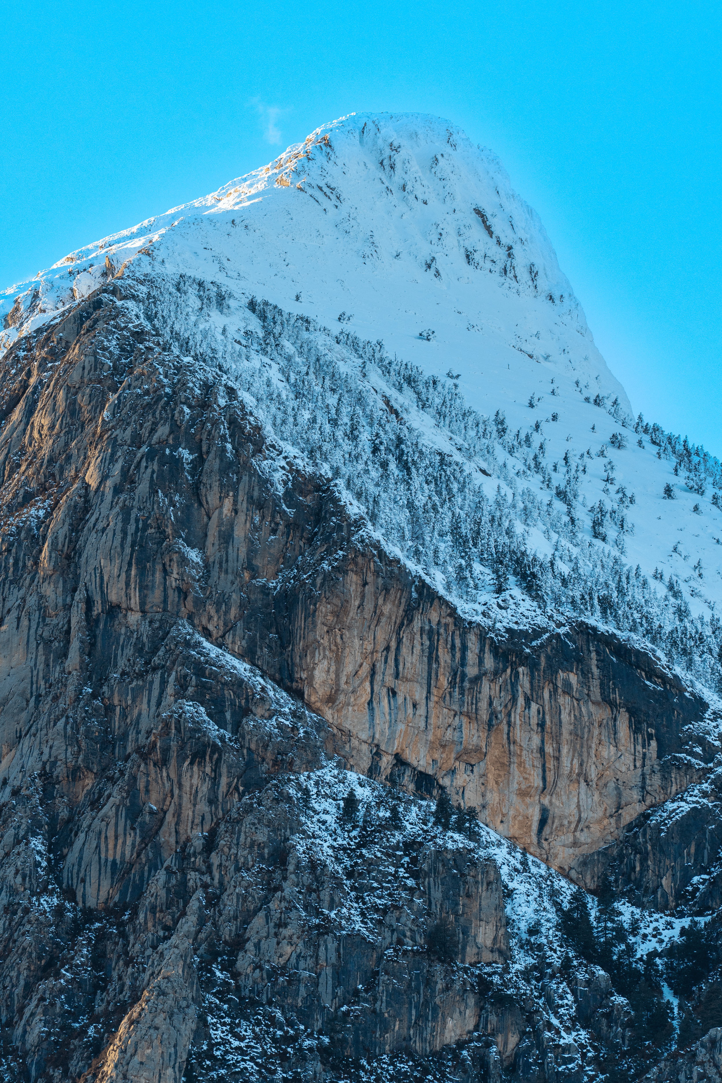 Montaña nevada con árboles y rocas en un día despejado